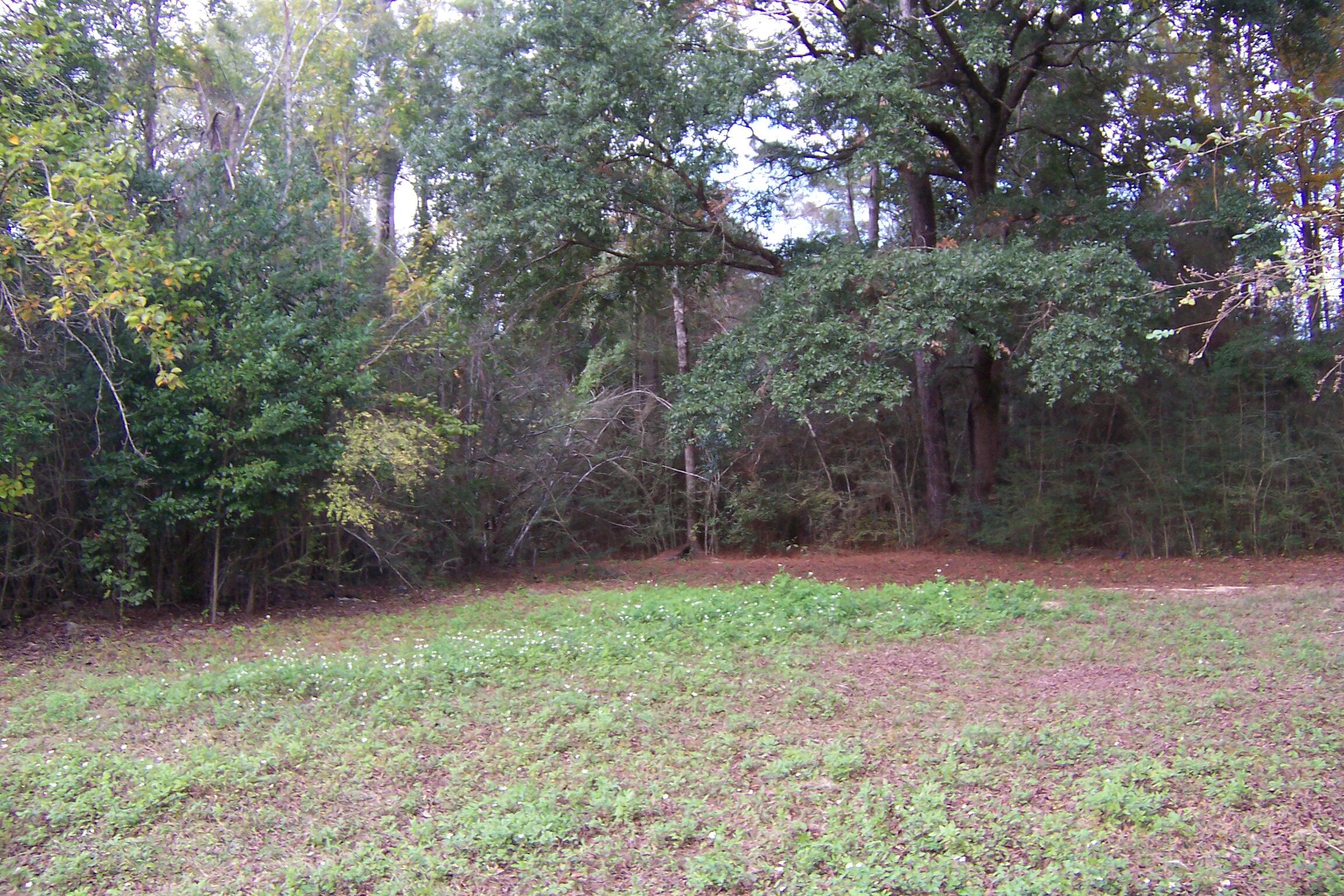 Approximately 40 gorgeous acres just south of I10 off Coy Burgess Loop. Mostly wooded with a few trails carved in. There was an old mobile on the property that was destroyed, so there is an old septic tank on the property and a 4inch deep well. All kinds of wildlife on the property make it a hunters dream. Several beautiful homesites. 5 minutes from Walmart. 20 minutes to Freeport.