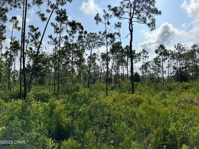 Laird Bayou - Land