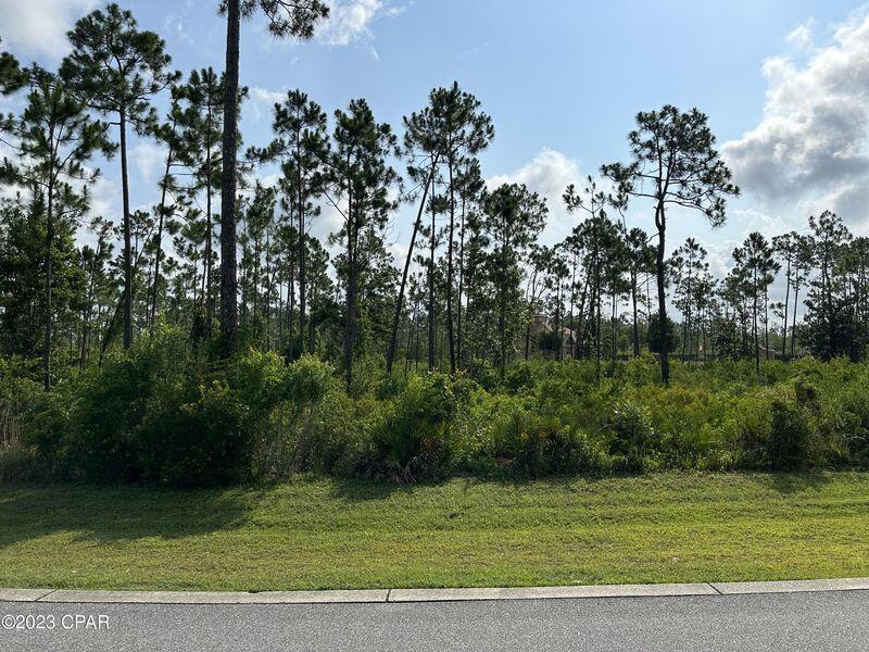 Laird Bayou - Land