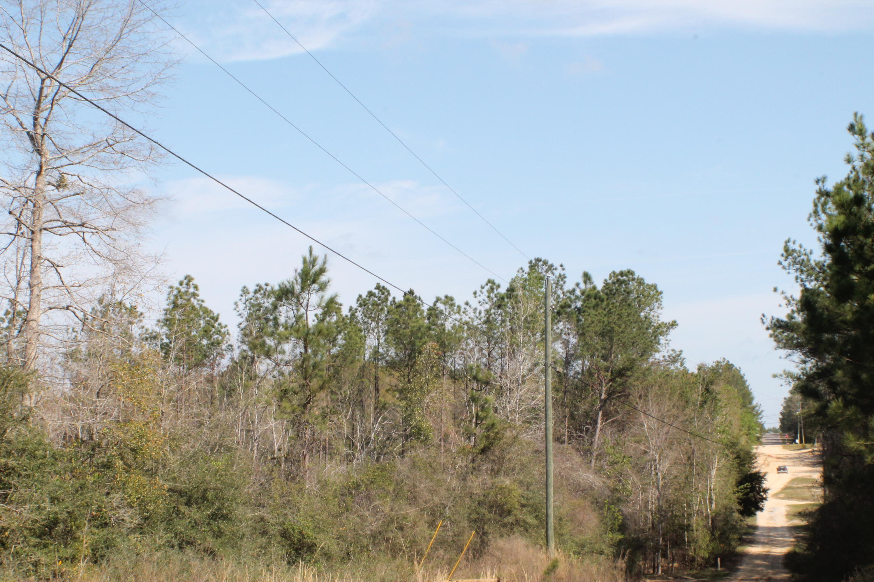 METES & BOUNDS - Farm