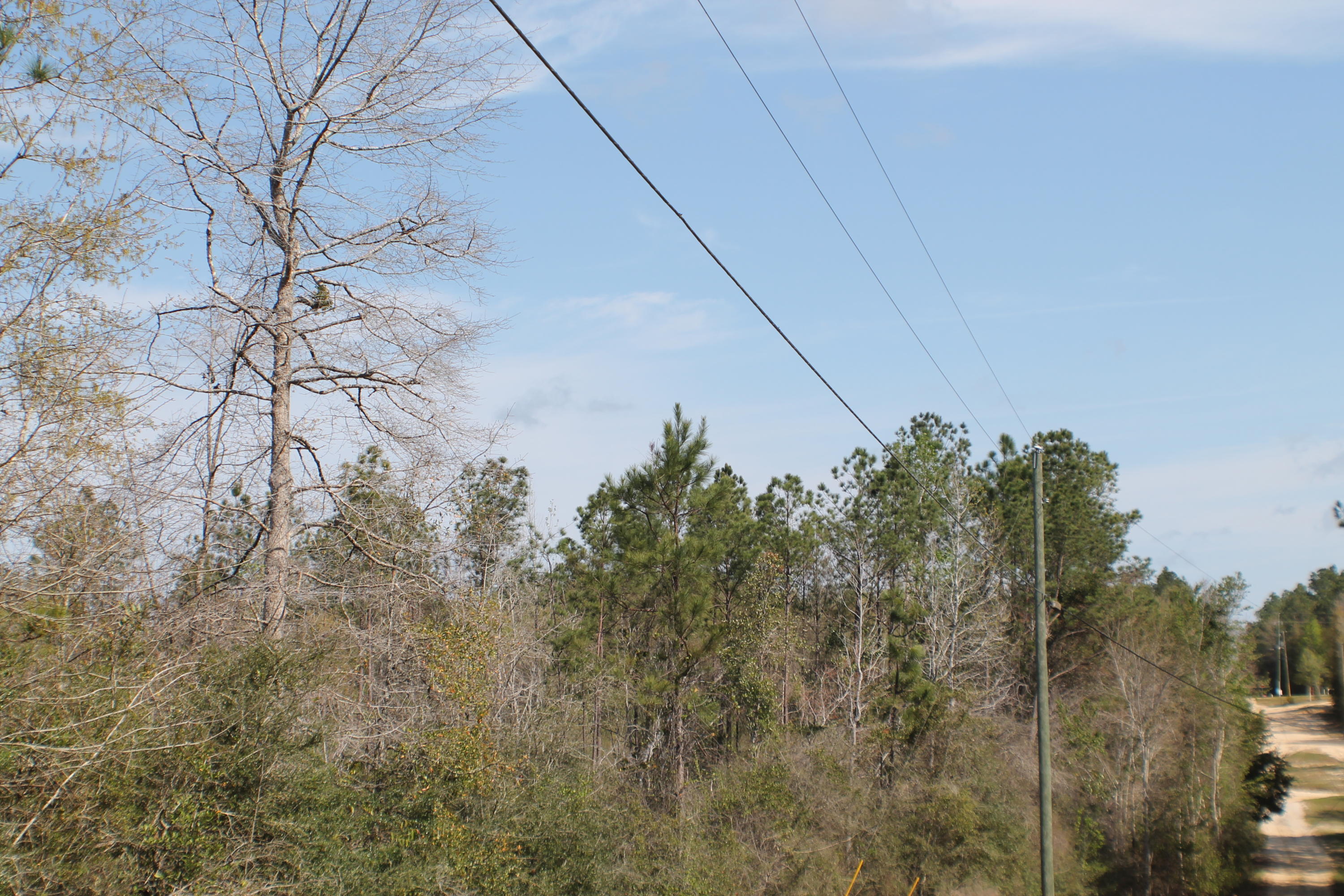 METES & BOUNDS - Farm