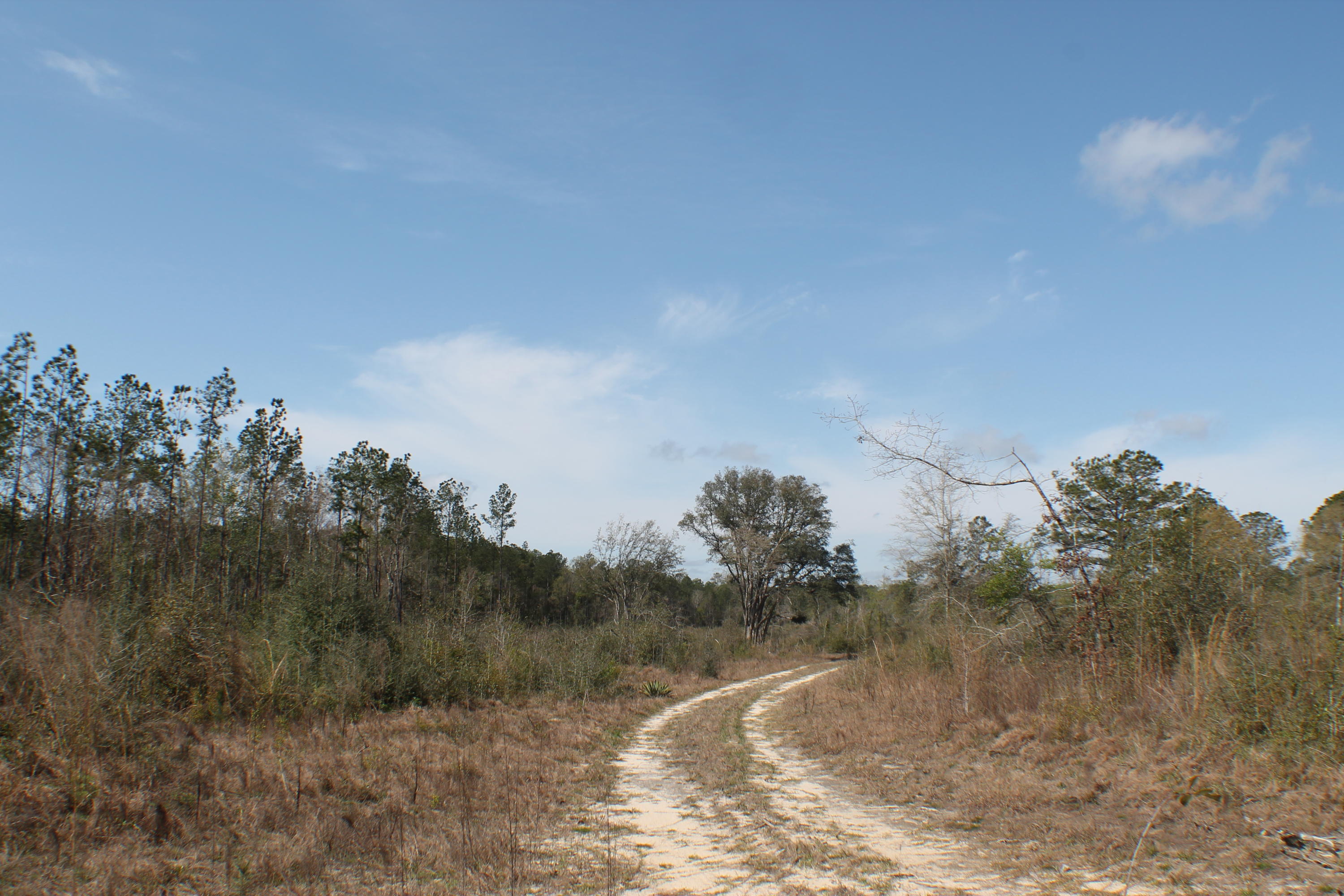 METES & BOUNDS - Farm