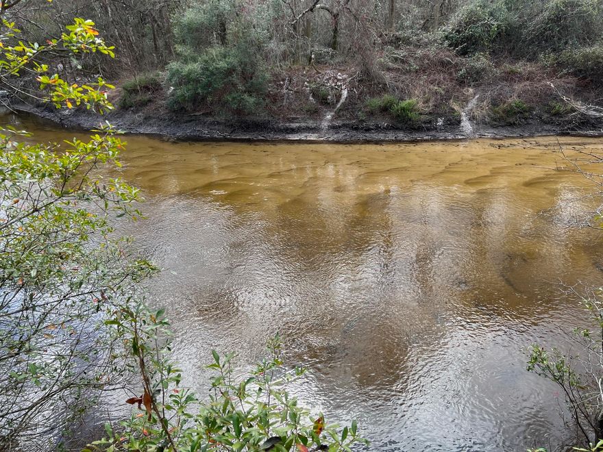 9+ Wooded acres with 400 feet on the Shoal River. Great place for Fish Camp or Quiet Retreat on the water, that is completely of the grid. Close enough to town but feels miles away with all the peace and tranquility.This listing also includes second parcel 04-3N-21-37000-001-0064