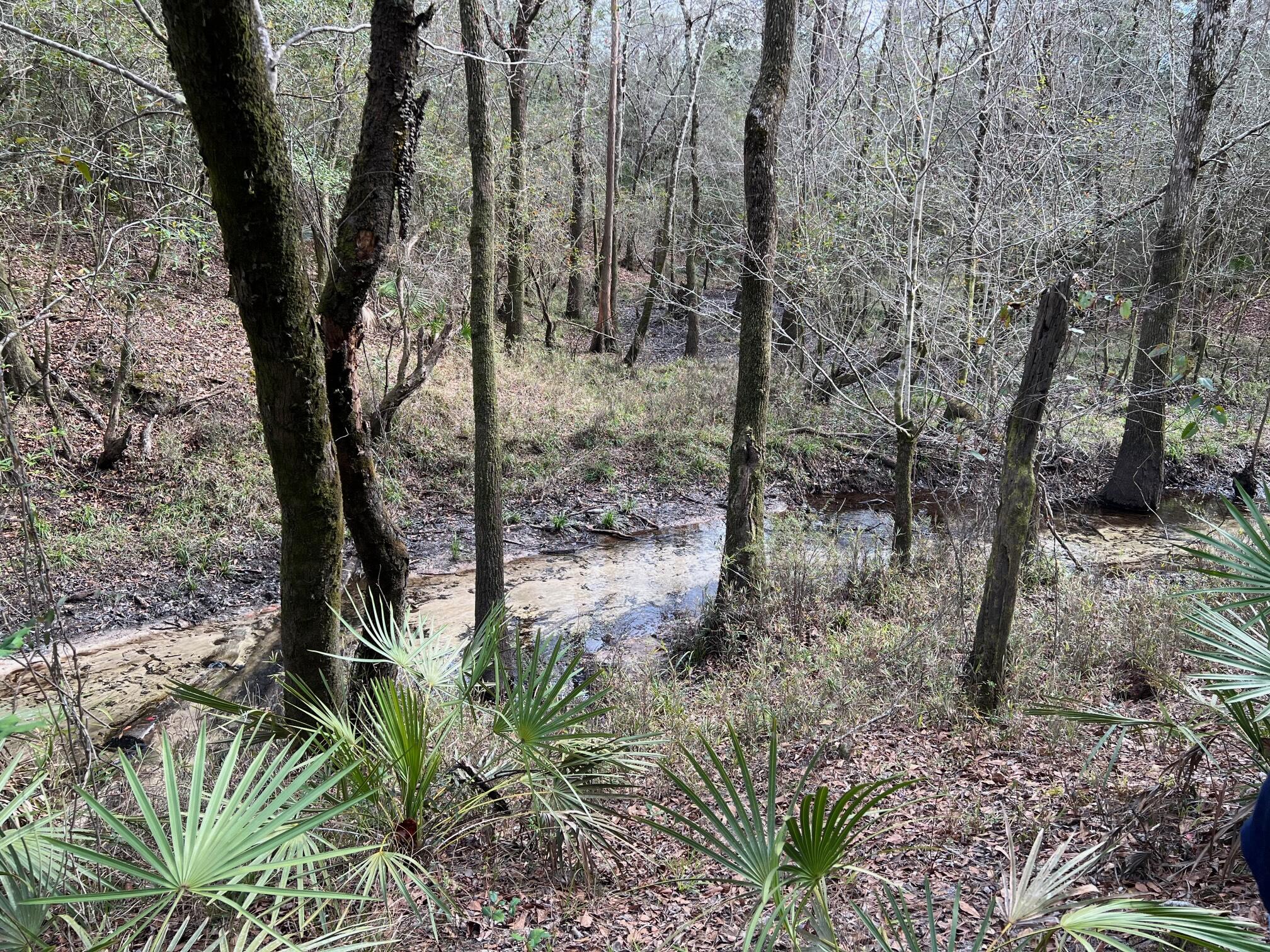 UNRECORDED SUBDIVISION - Land