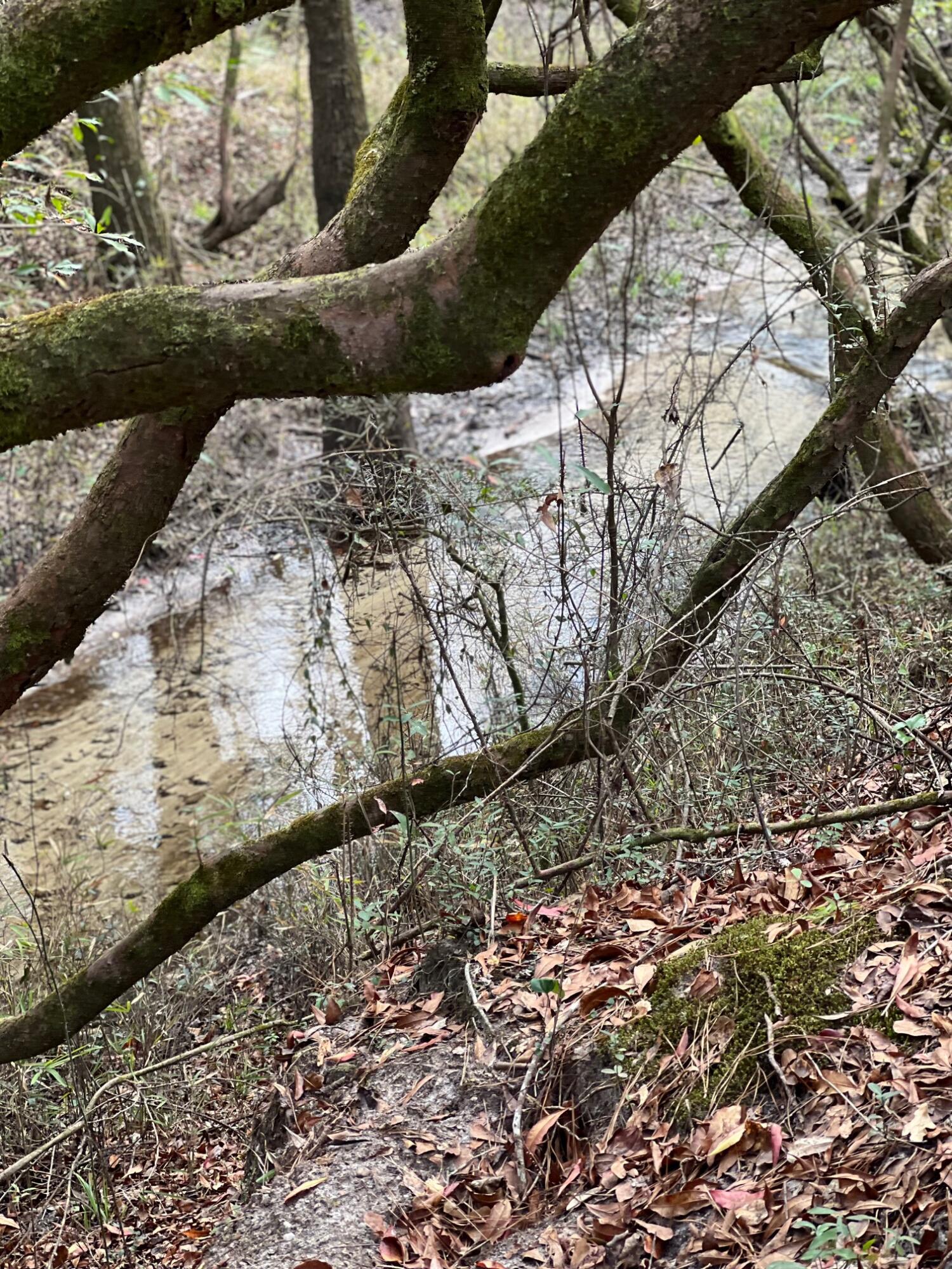 UNRECORDED SUBDIVISION - Land