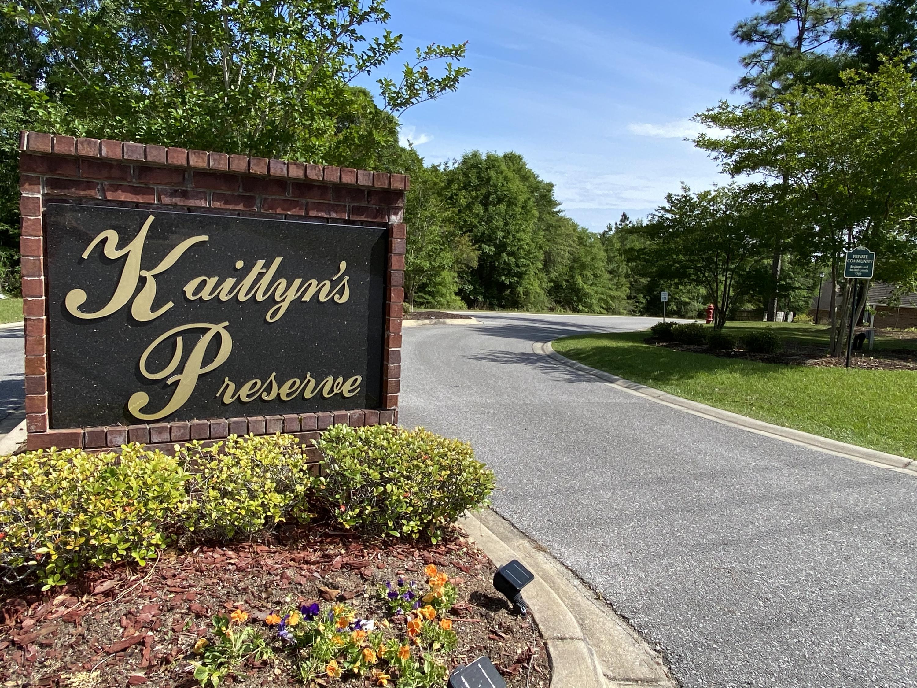 KAITLYNS PRESERVE - Residential