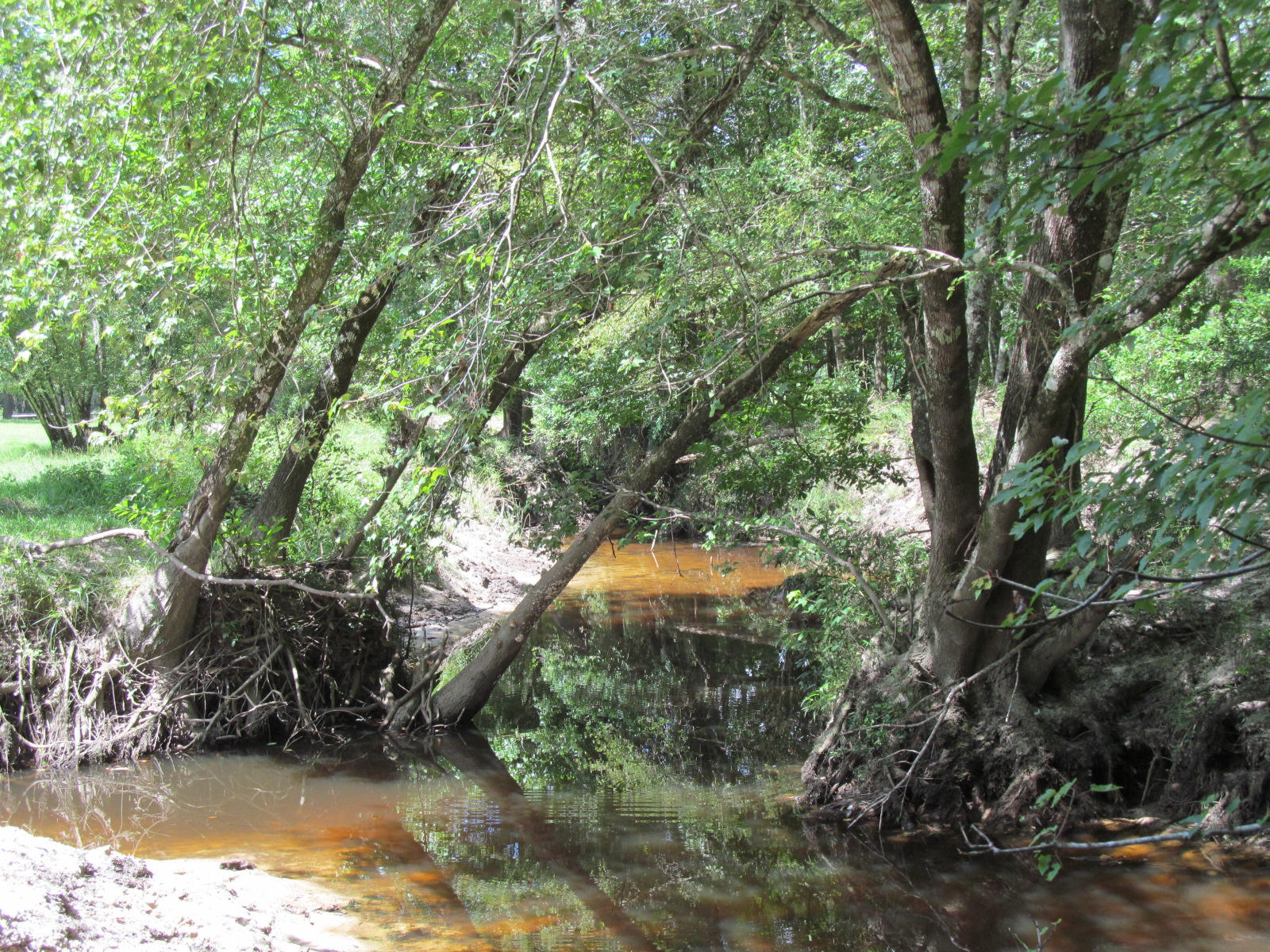 This working cattle ranch is one of the finest farms in Walton County. The property is located in Historic Eucheeanna Valley, just minutes from downtown Defuniak Springs. The property has approx. 60 acres in pasture & 40 acres in natural hardwoods, ponds and creeks. All ten fenced pastures have their own water source. Bruce Creek runs through the property. A private bridge built by the original owner allows passage across the creek. The subject property includes a 980 S.F. mobile home, a 60x50 barn with a complete woodworking shop, two 30x50 pole barns, a 15x50 RV pole barn, a 35x60, 8 stall horse barn with wash rack, tack room and concrete flooring, a hen house with water, electric & incubator area and a green house for gardening. Being sold ''as is'' Shown by appt.24 hours notice