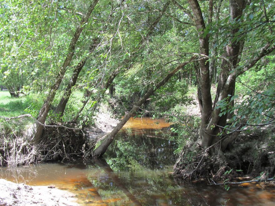 This working cattle ranch is one of the finest farms in Walton County. The property is located in Historic Eucheeanna Valley, just minutes from downtown Defuniak Springs. The property has approx. 60 acres in pasture & 40 acres in natural hardwoods, ponds and creeks. All ten fenced pastures have their own water source. Bruce Creek runs through the property. A private bridge built by the original owner allows passage across the creek. The subject property includes a 980 S.F. mobile home, a 60x50 barn with a complete woodworking shop, two 30x50 pole barns, a 15x50 RV pole barn, a 35x60, 8 stall horse barn with wash rack, tack room and concrete flooring, a hen house with water, electric & incubator area and a green house for gardening. Being sold ''as is'' Shown by appt.24 hours notice