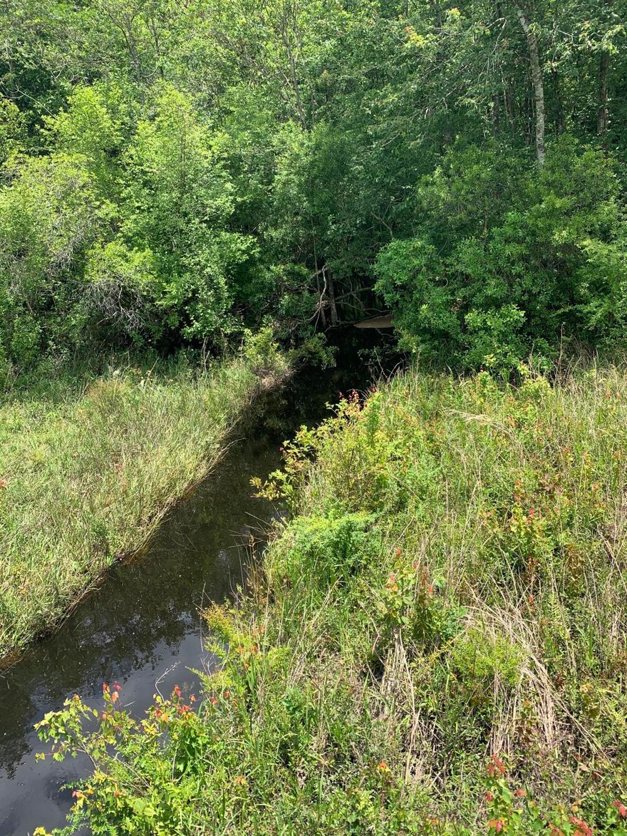 This 4.19 acre lot near Ponce de leon city limits has frontage on Little Reedy Creek.  It is convenient to town, and only a block off paved Hwy 90.  Pick out a site to put your home or mobile home. Clear out a spot near the creek for fishing or just relaxing. No restrictions known.  Well and septic are required.  Land near front has been partially cleared with some trees left for shade. A survey will have to be done to split it out of parent parcel.