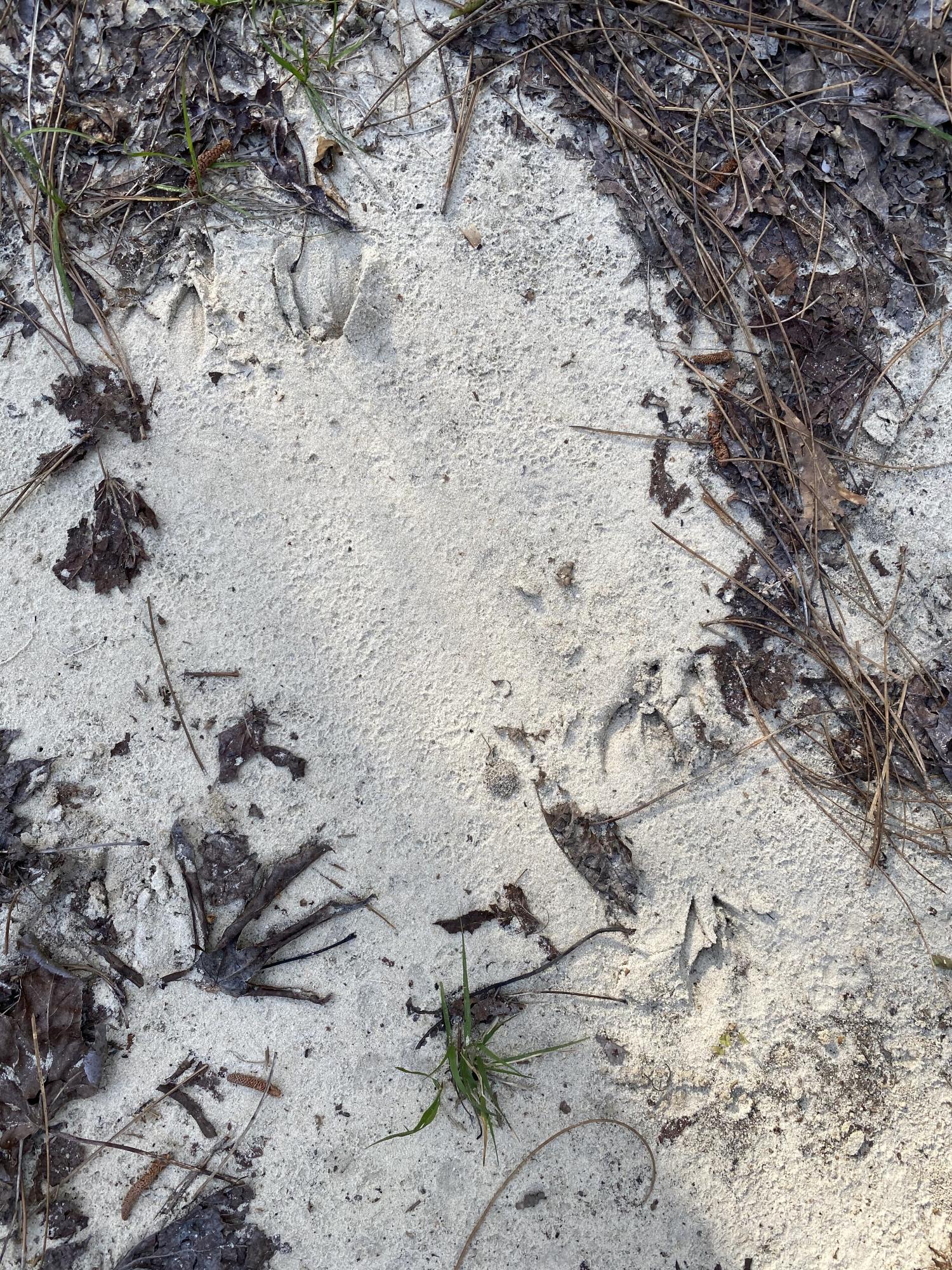 METES & BOUNDS - Land