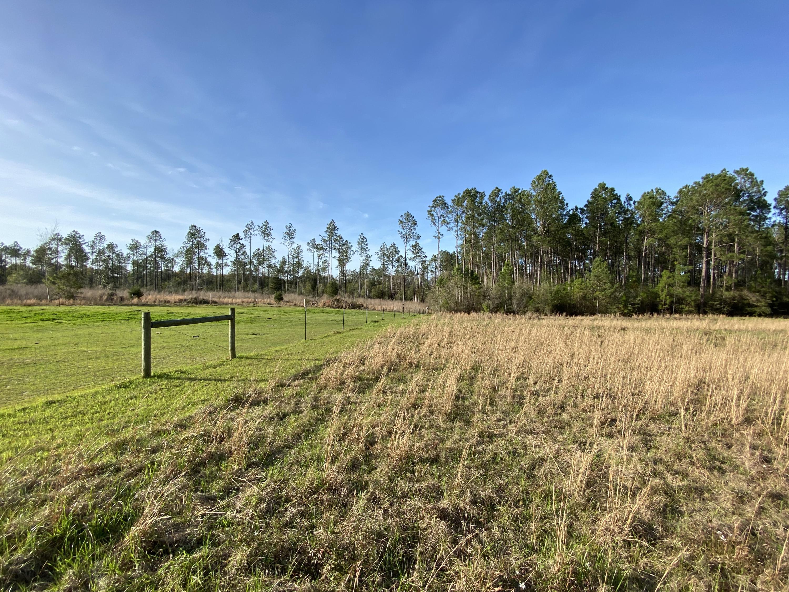 METES & BOUNDS - Land