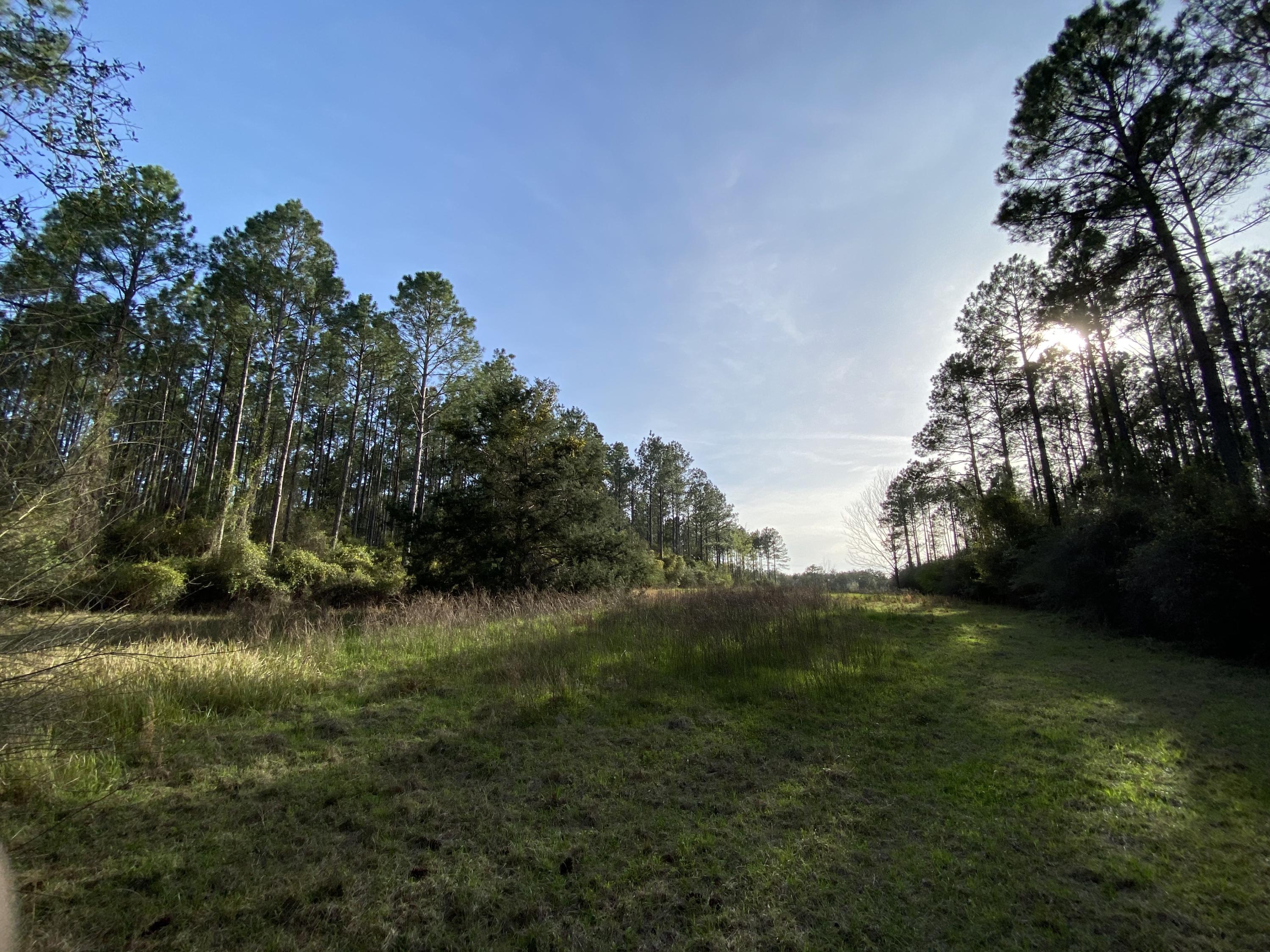 METES & BOUNDS - Land