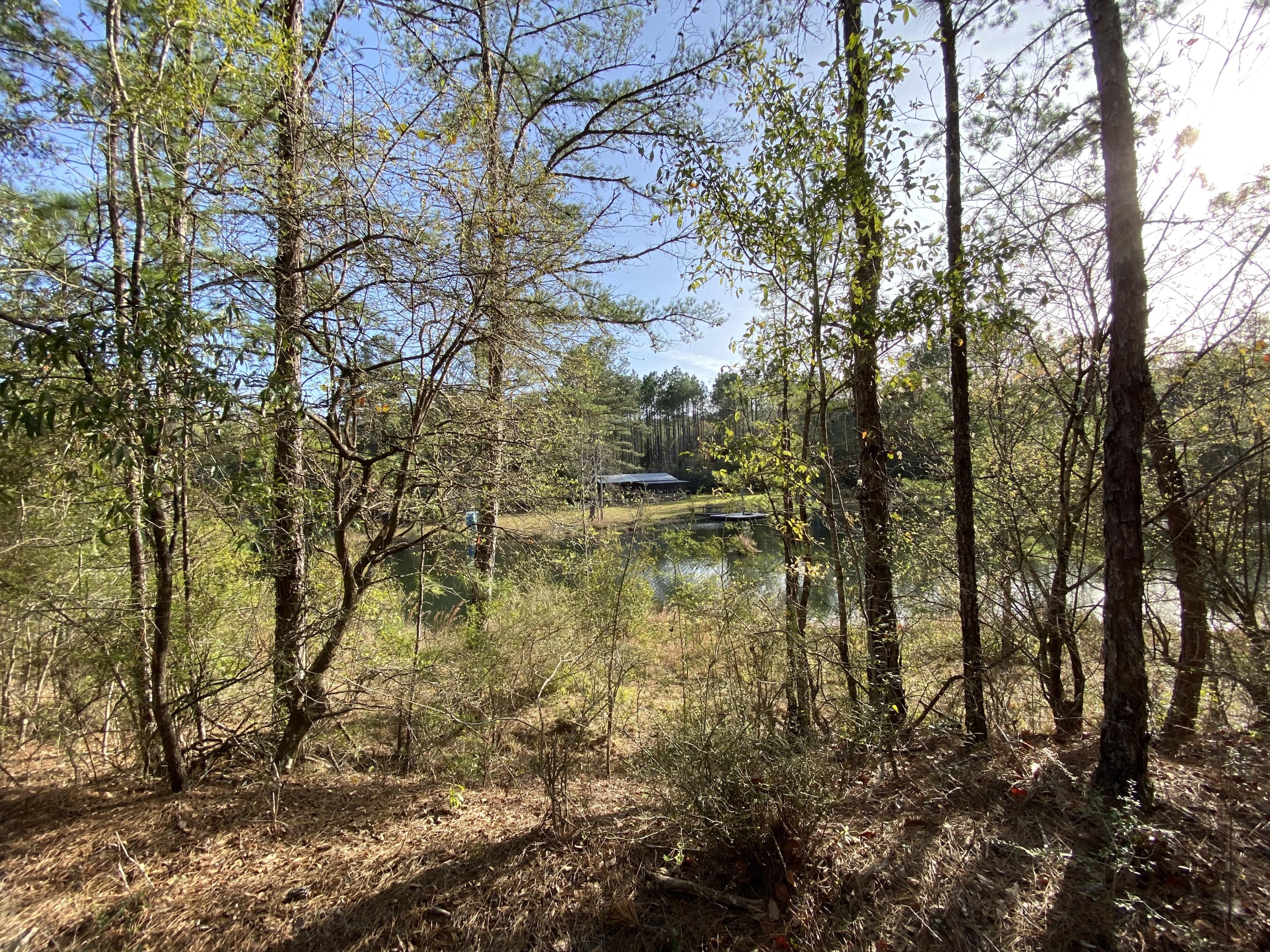 METES & BOUNDS - Land