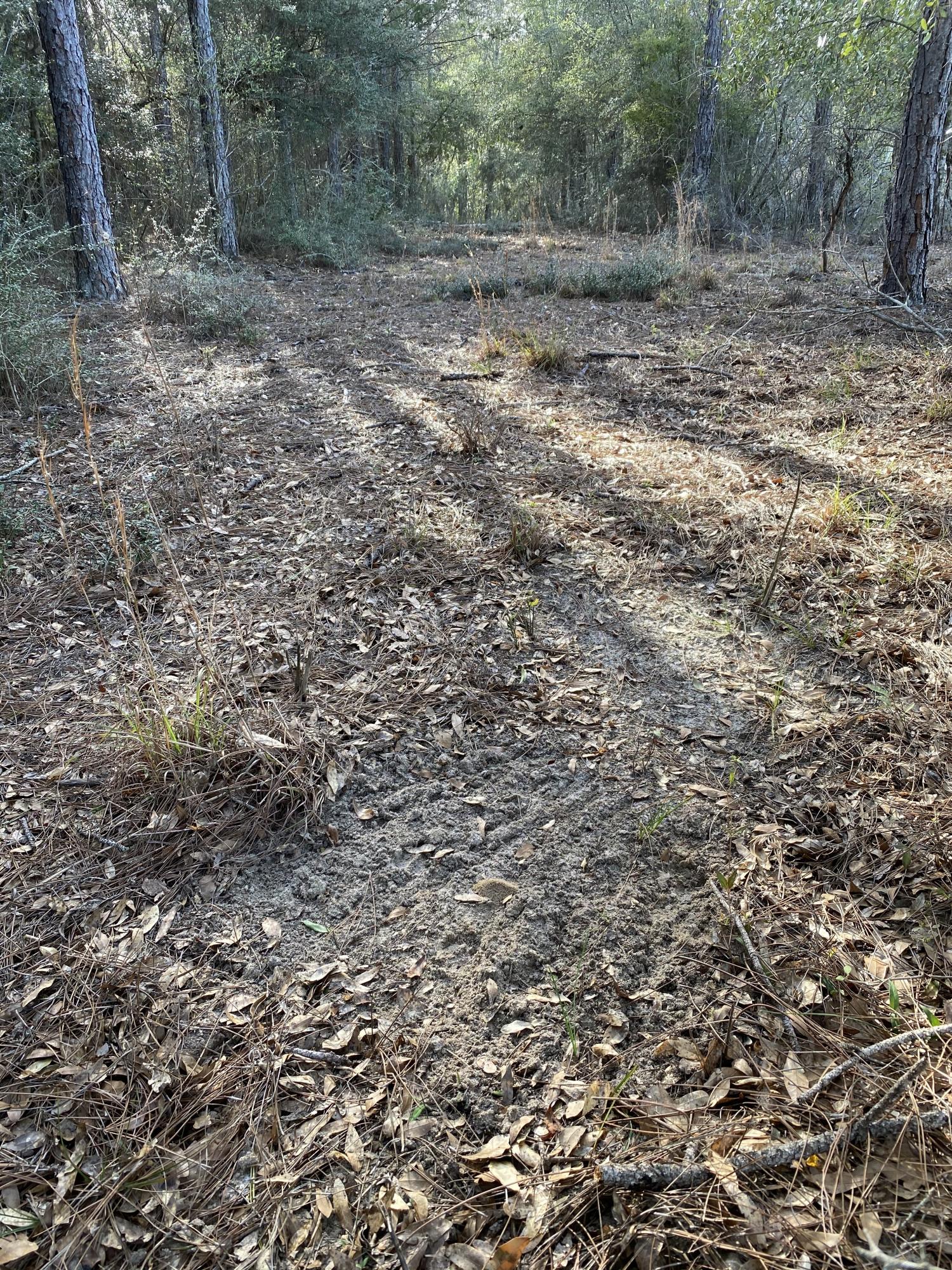 METES & BOUNDS - Land