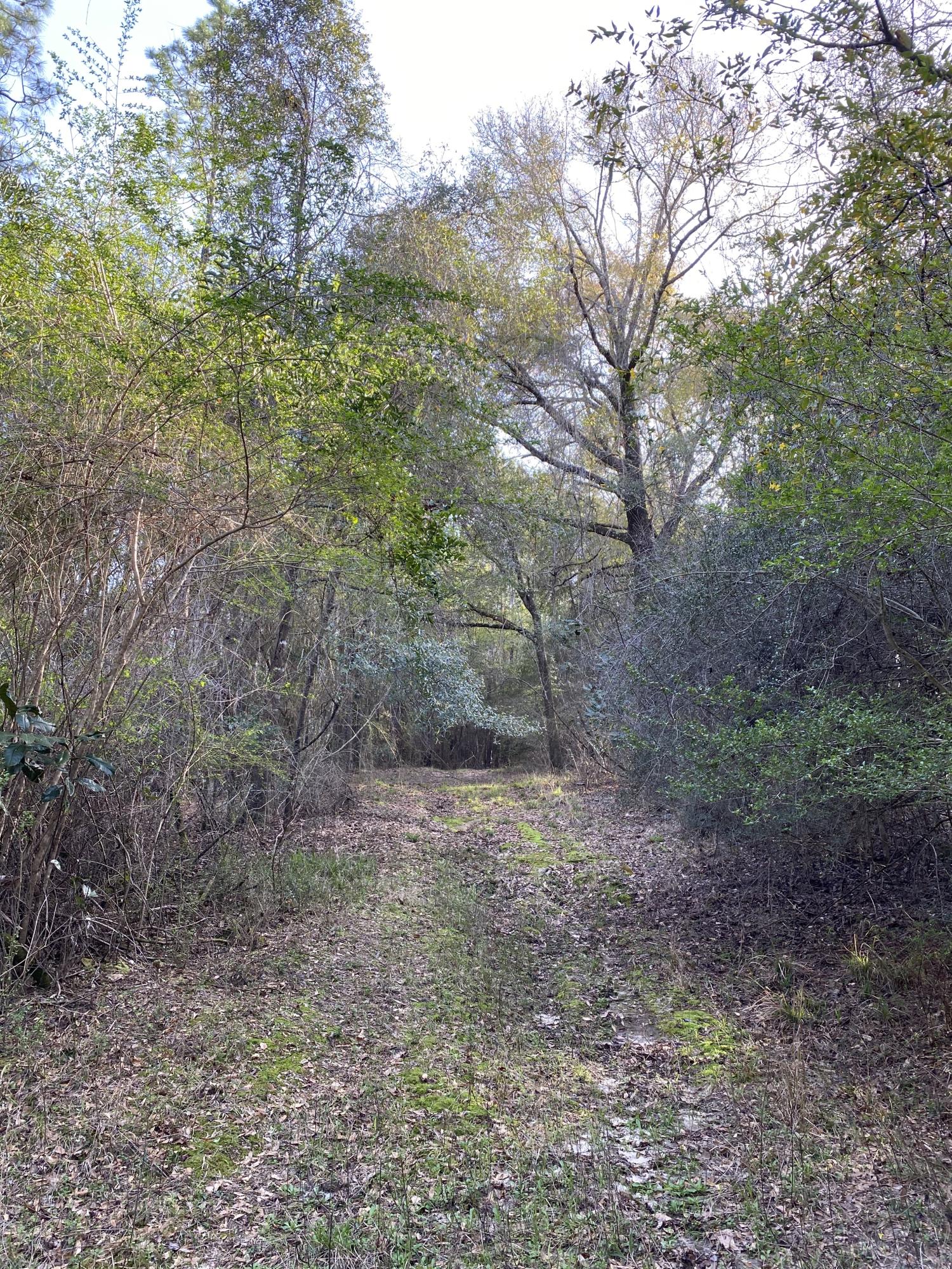 METES & BOUNDS - Land