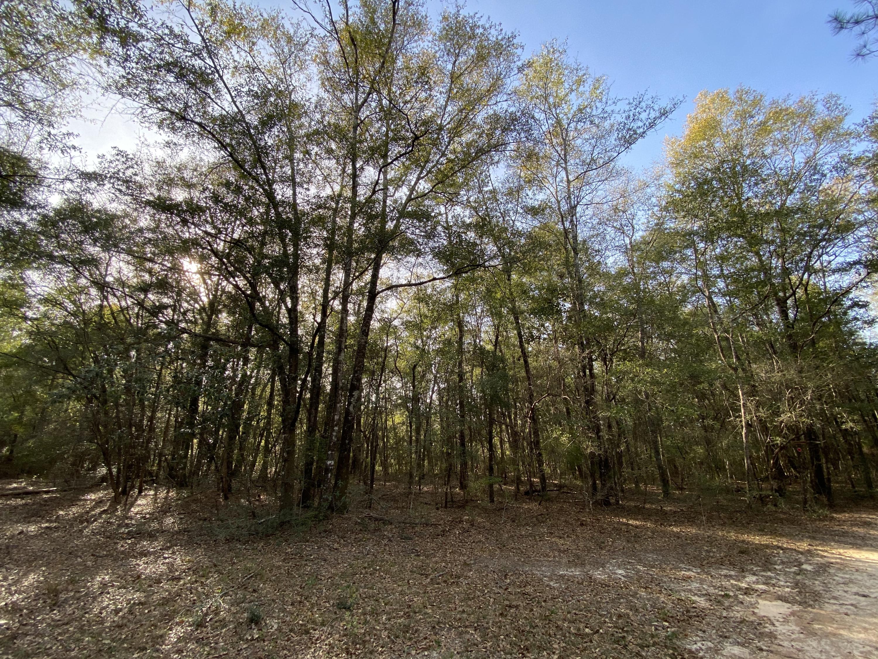 METES & BOUNDS - Land