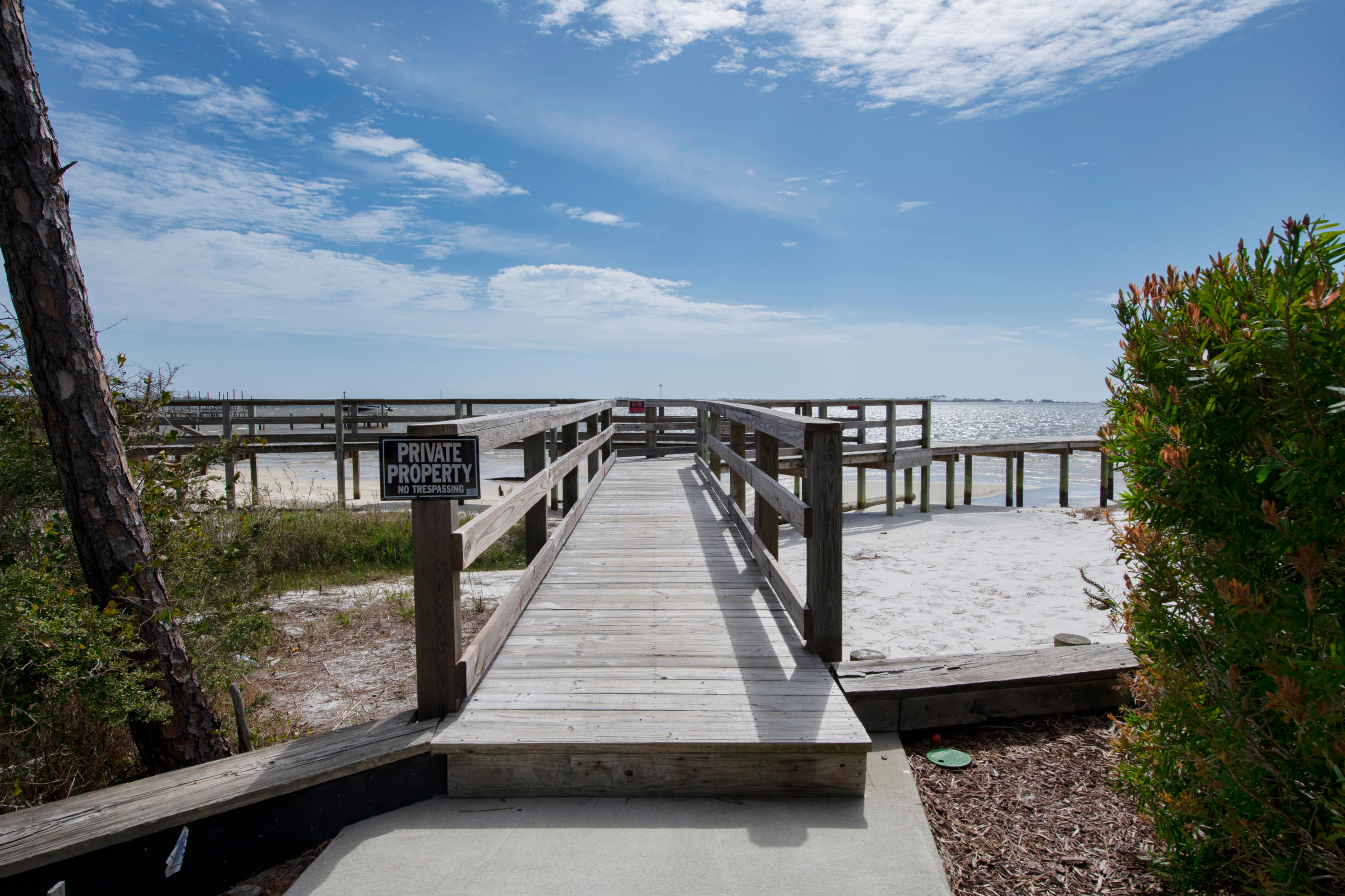 PALMETTO LAKE PRESERVE - Residential