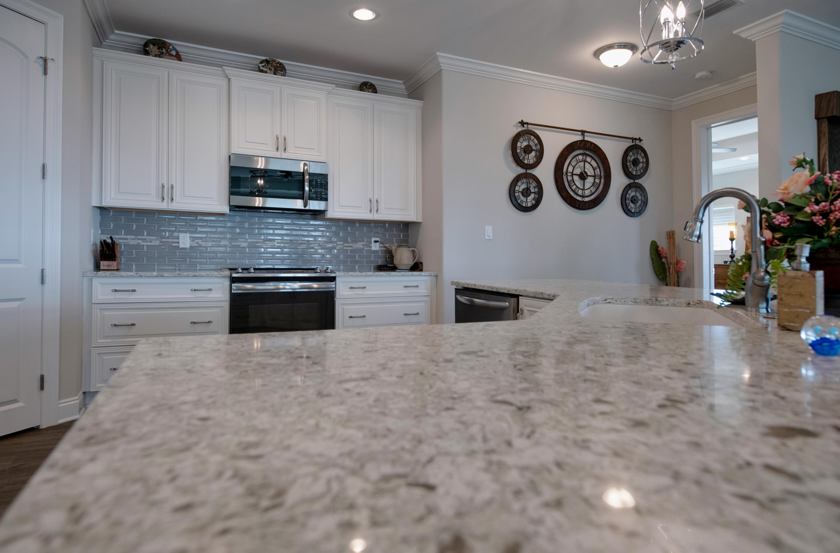 PALMETTO LAKE PRESERVE - Residential