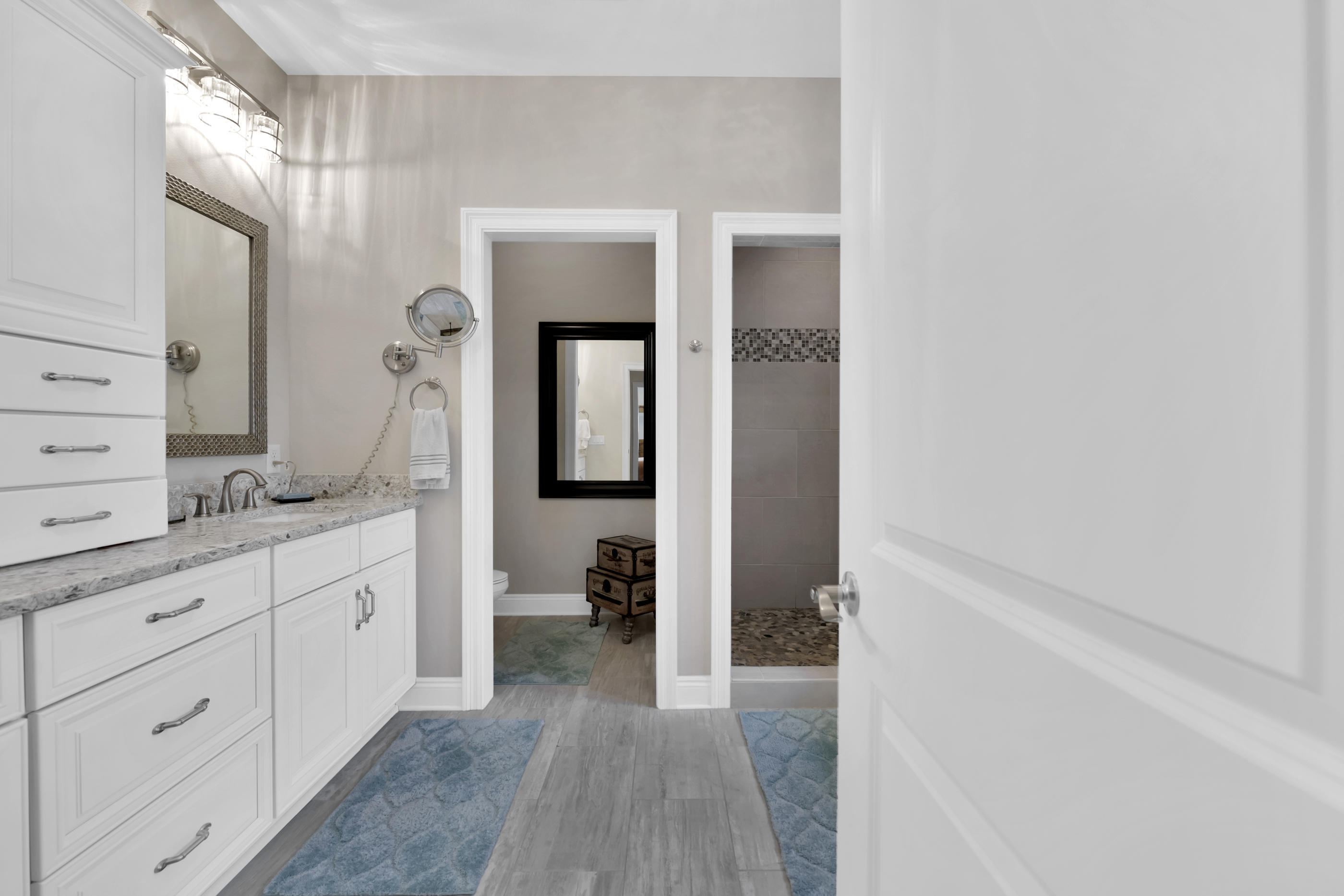 PALMETTO LAKE PRESERVE - Residential