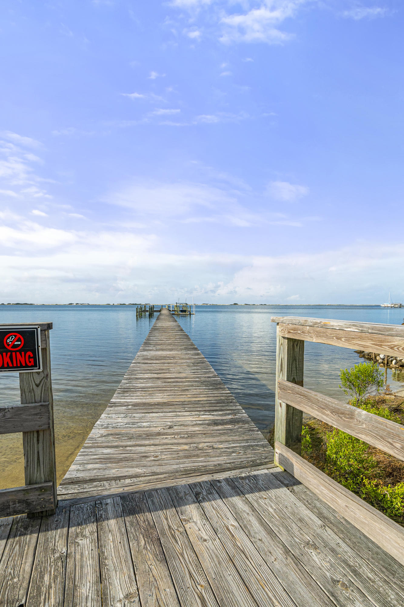 PALMETTO LAKE PRESERVE - Residential