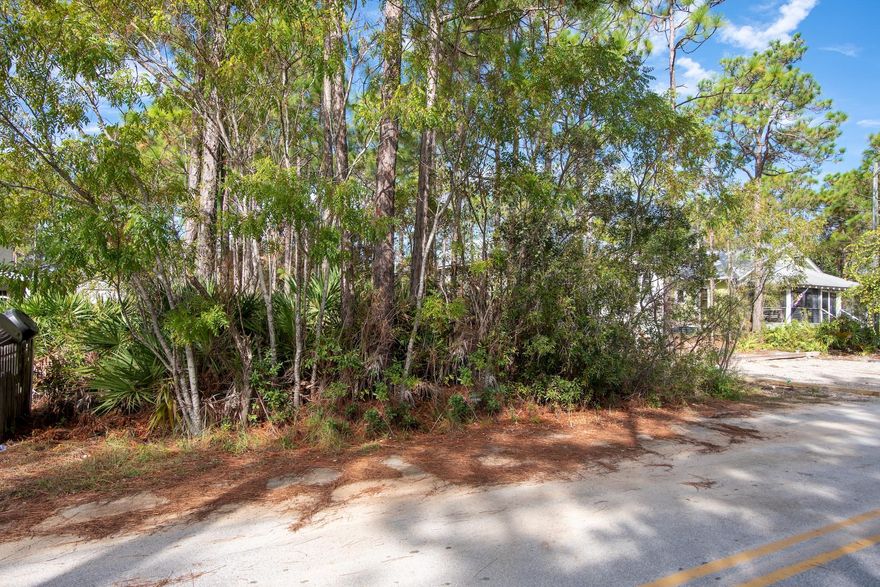 Located in the heart of Seagrove Beach is this beautiful high and dry wooded lot in Gulf Shore Manor with deeded beach access. The lot is a short walk to the beaches & only 1 mile to Seaside. Perfect location to build primary home or second vacation home. This lot is close to shopping & dining, offers many beach accesses, and no association fees.