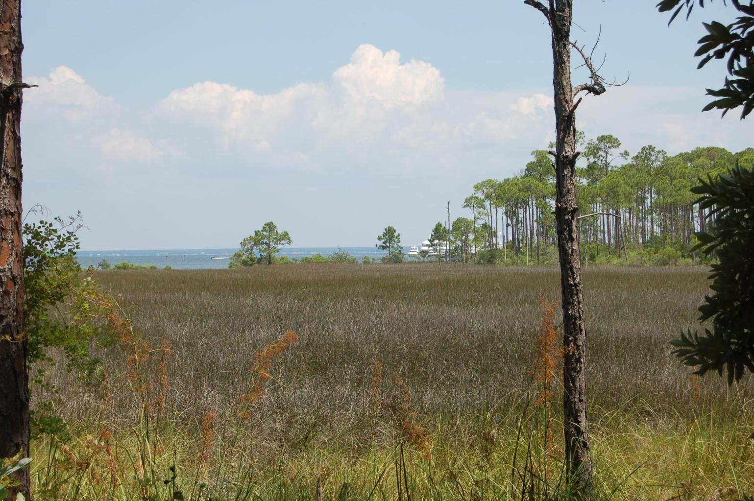 HERON WALK - Residential