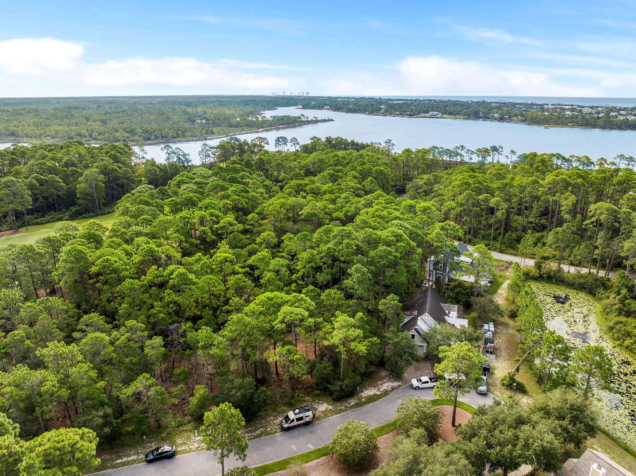 Wild Heron Phase XI - Land