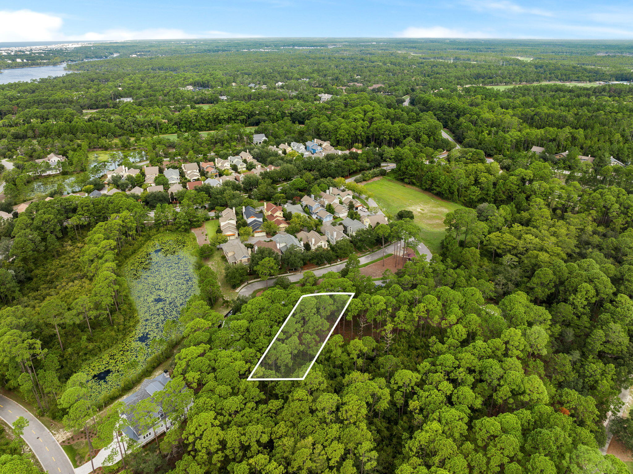 Wild Heron Phase XI - Land