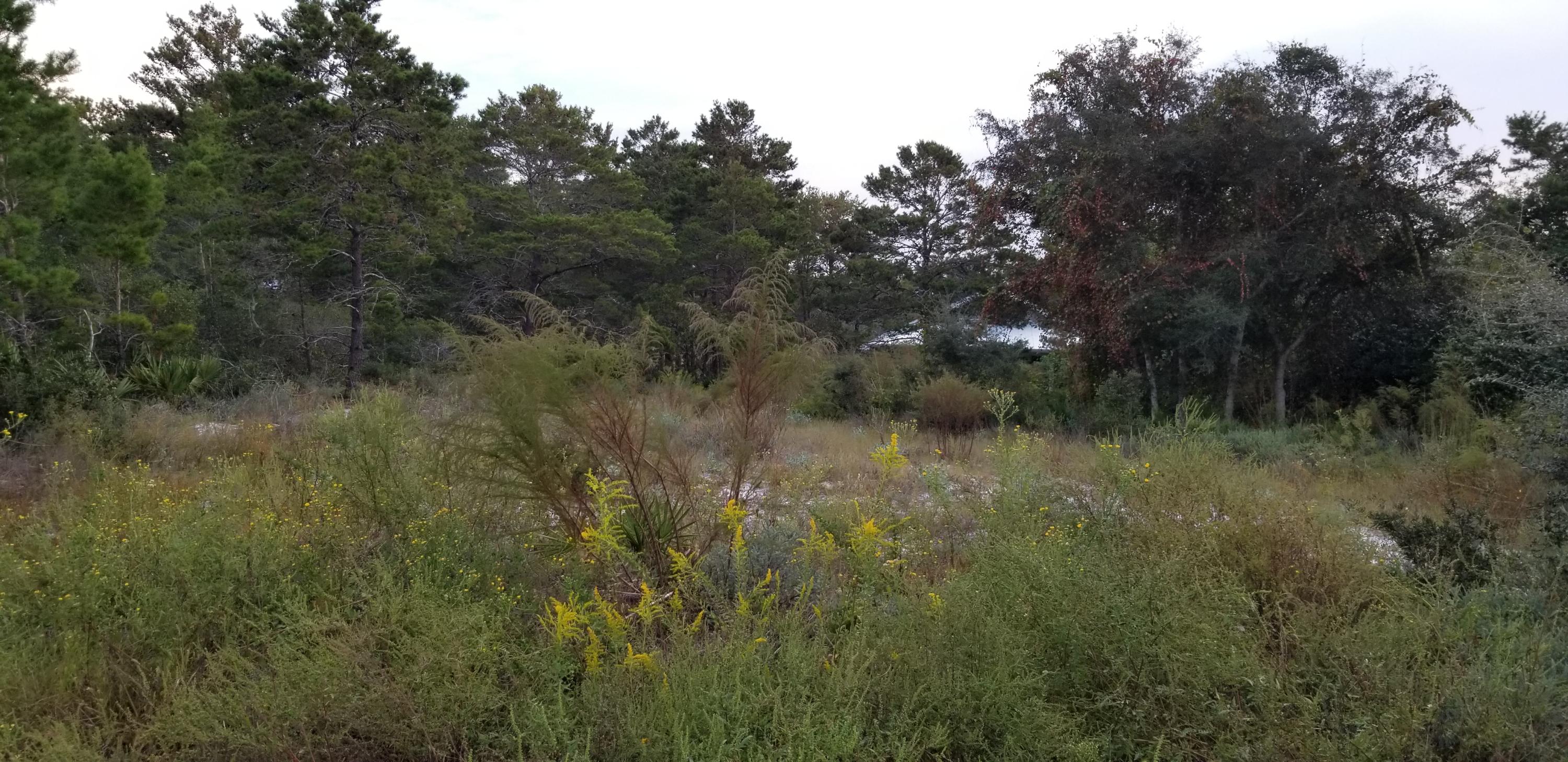 BEACH HIGHLAND 1ST ADD - Land