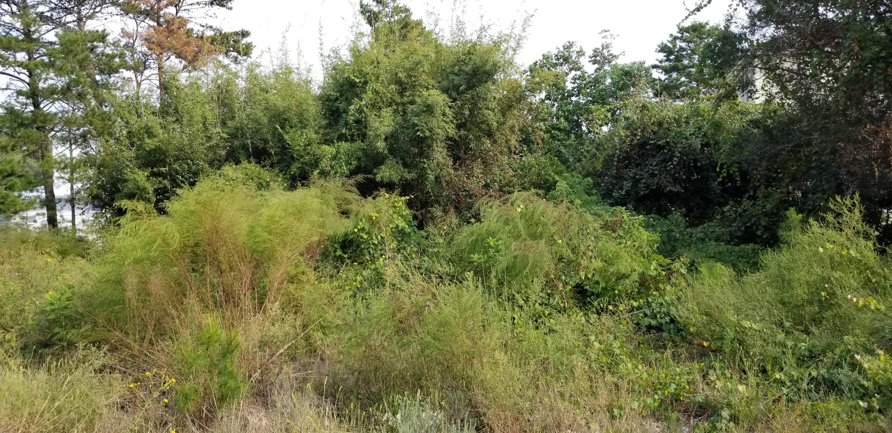 BEACH HIGHLAND 1ST ADD - Land