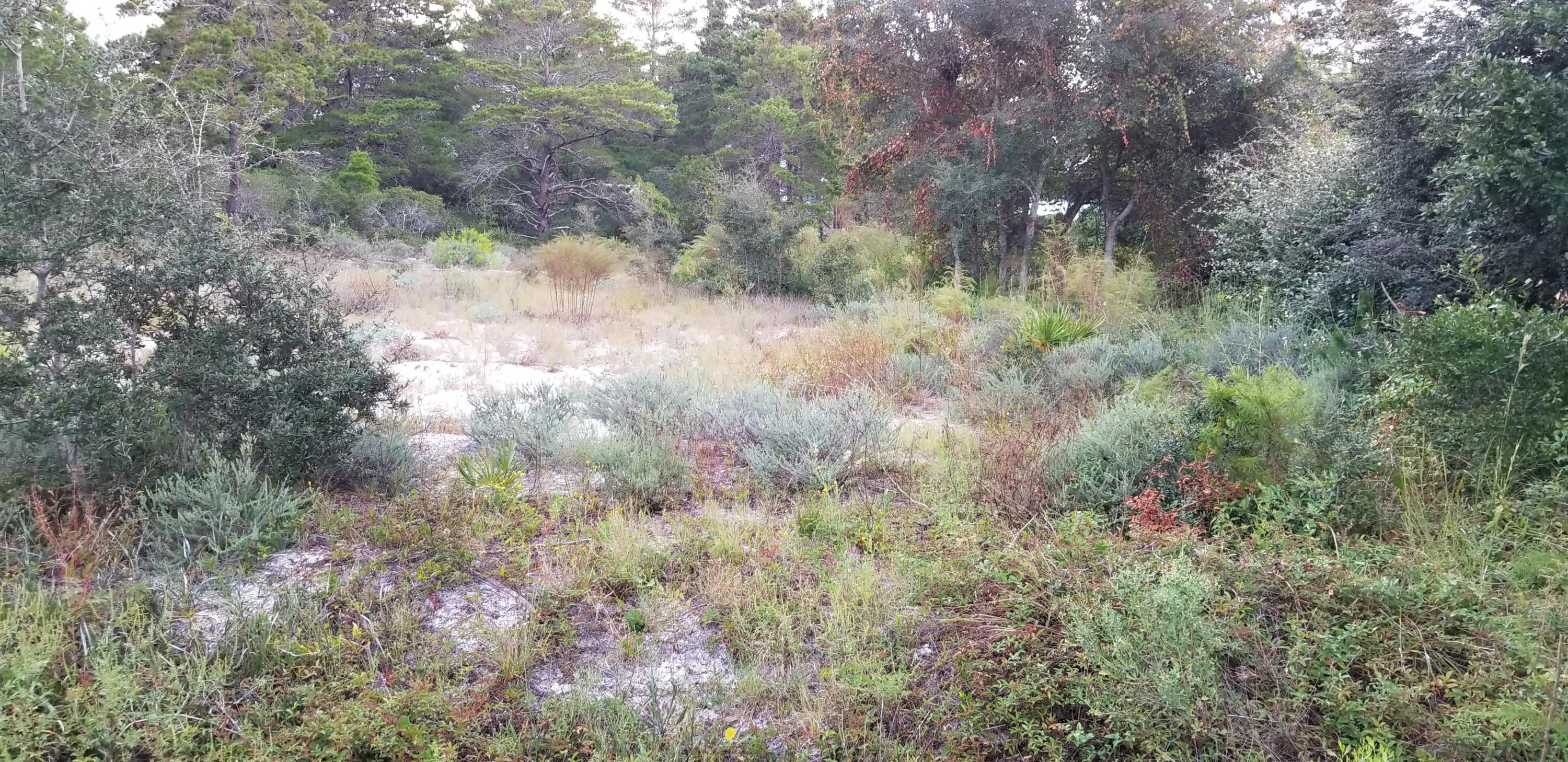 BEACH HIGHLAND 1ST ADD - Land