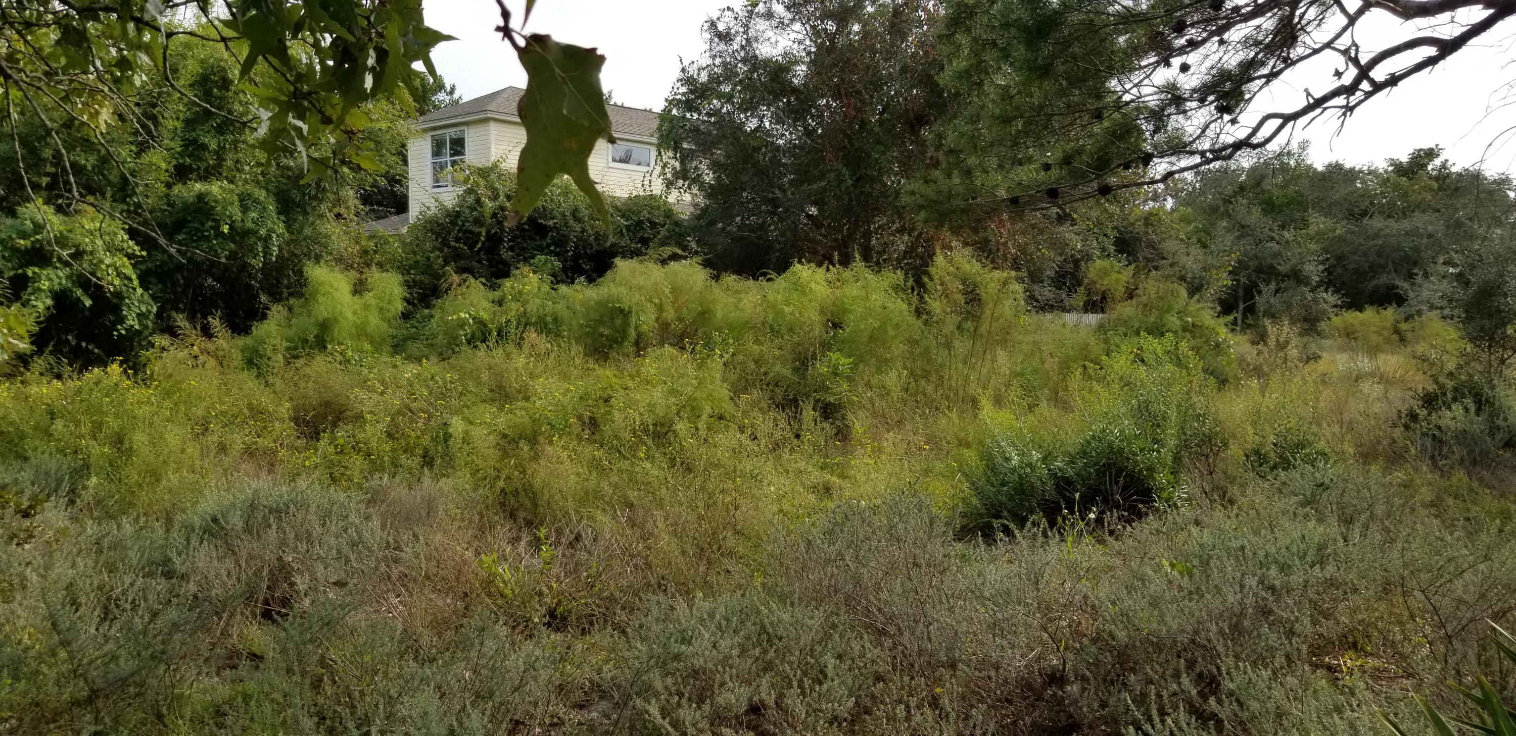 BEACH HIGHLAND 1ST ADD - Land