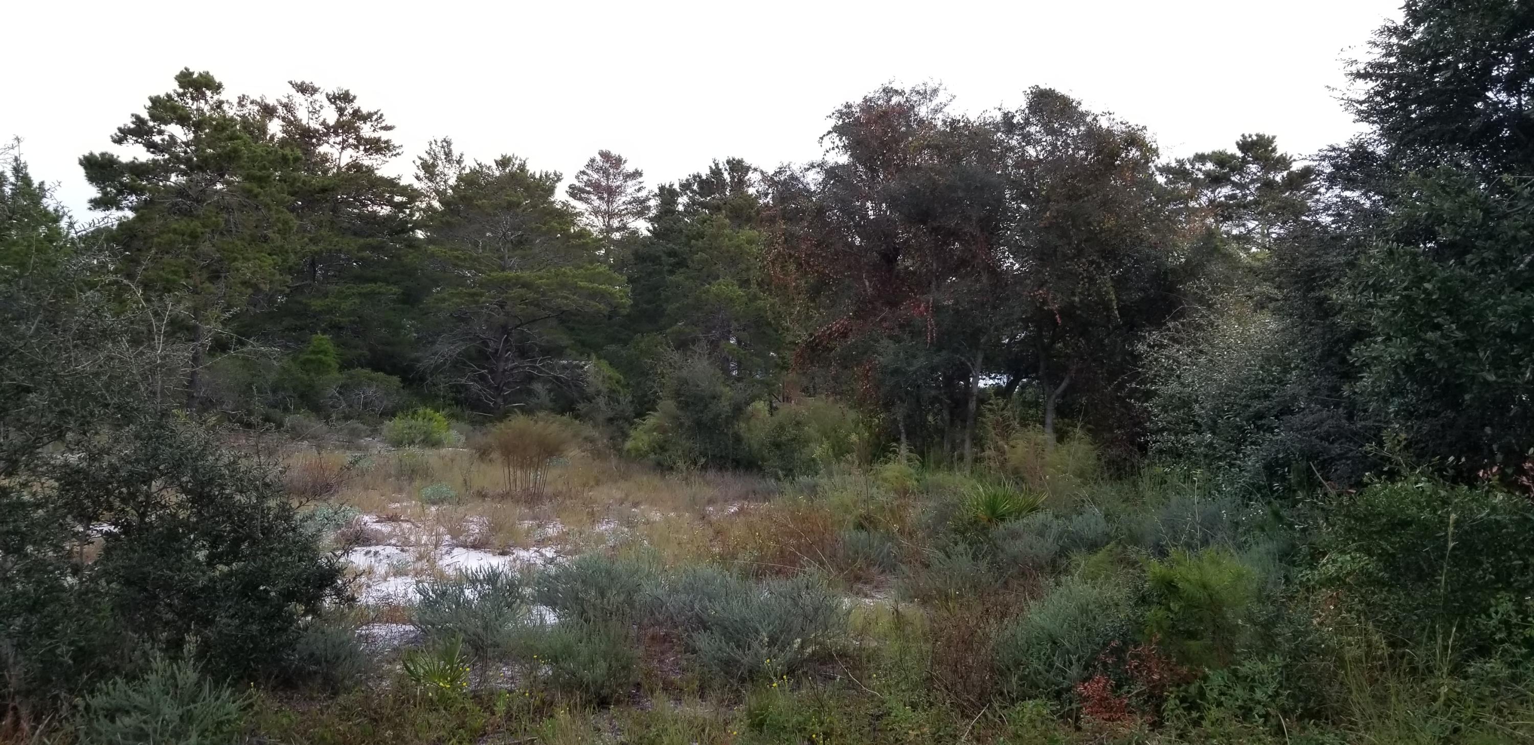 BEACH HIGHLAND 1ST ADD - Land