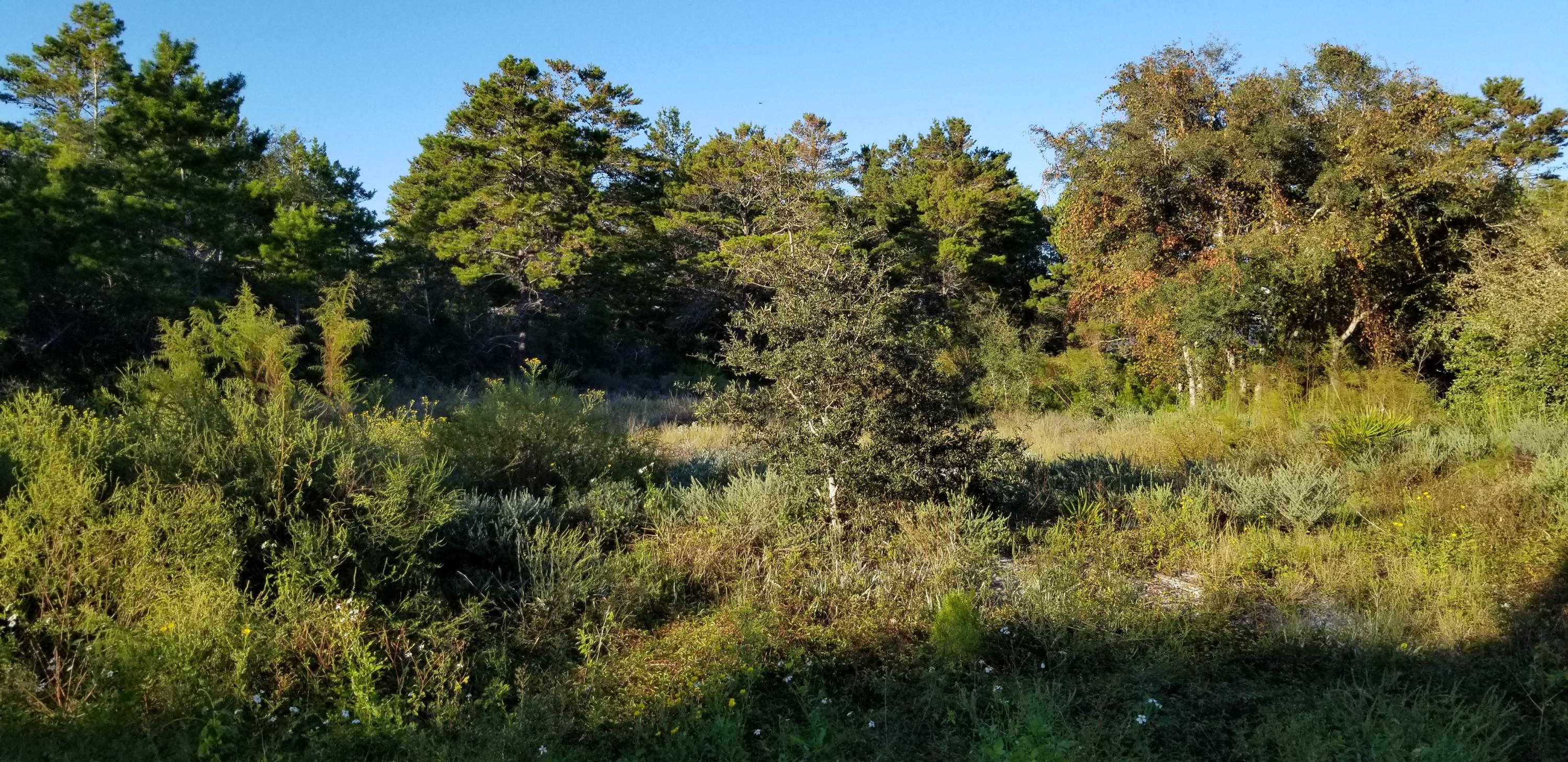 BEACH HIGHLAND 1ST ADD - Land