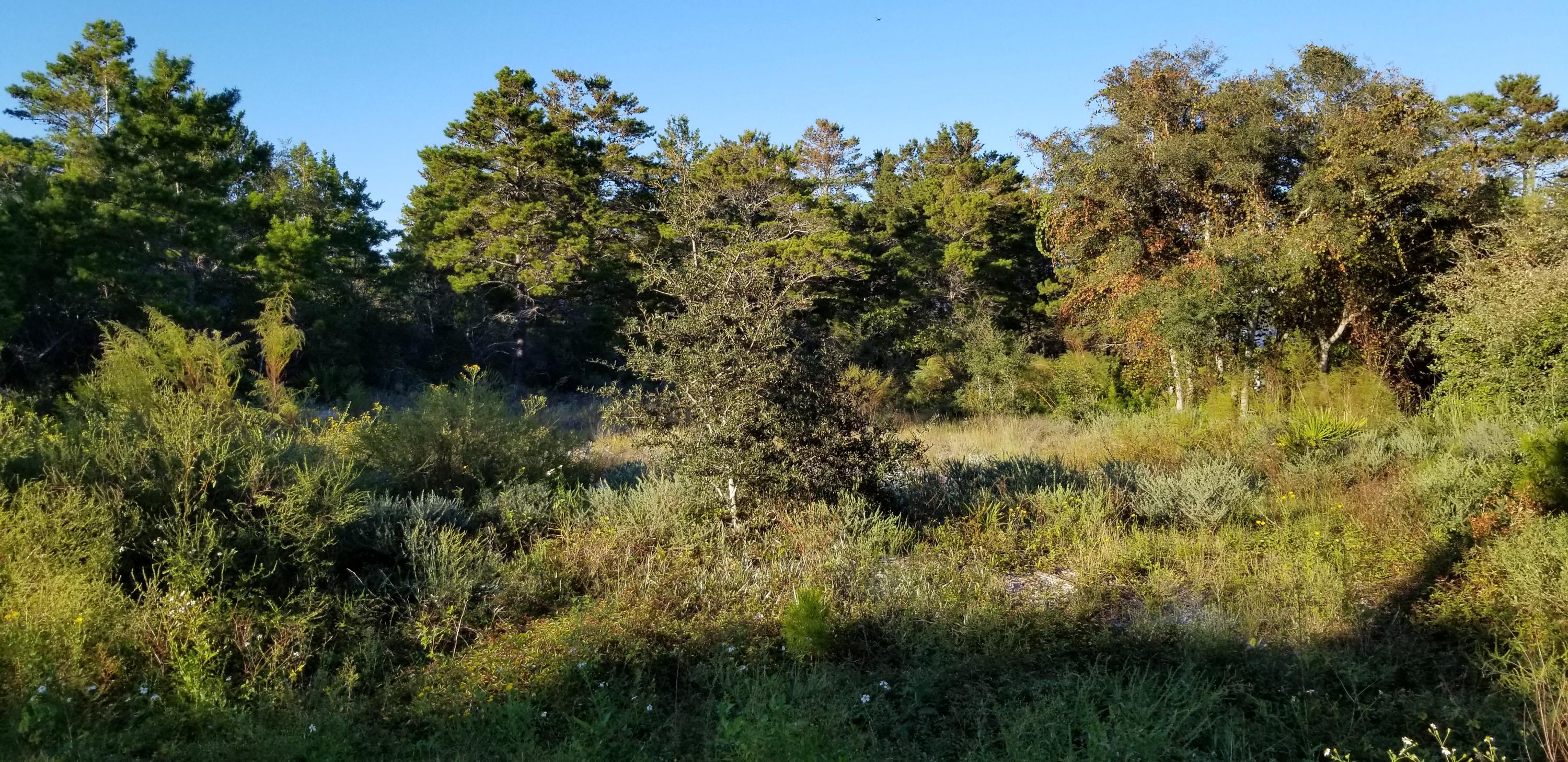 BEACH HIGHLAND 1ST ADD - Land