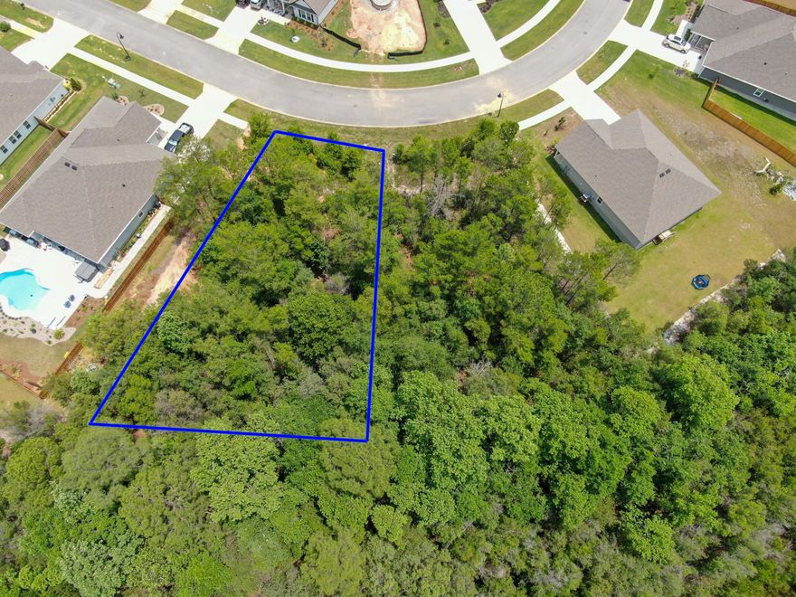 Welcome to Ashton Park in Freeport, Florida.   Freeport is known for its quiet and natural beauty with close proximity to Choctawhatchee Bay and the stunning white sand beaches of 30A.   This generous size lot is one of the last two available on the block and is situated among newly built homes just waiting for someone to build their dream home.   Conveniently located near Freeport Elementary School and easy access to Highway 331.    The adjacent LOT 24 is also available and may be purchased together with LOT 25 for $130,000.