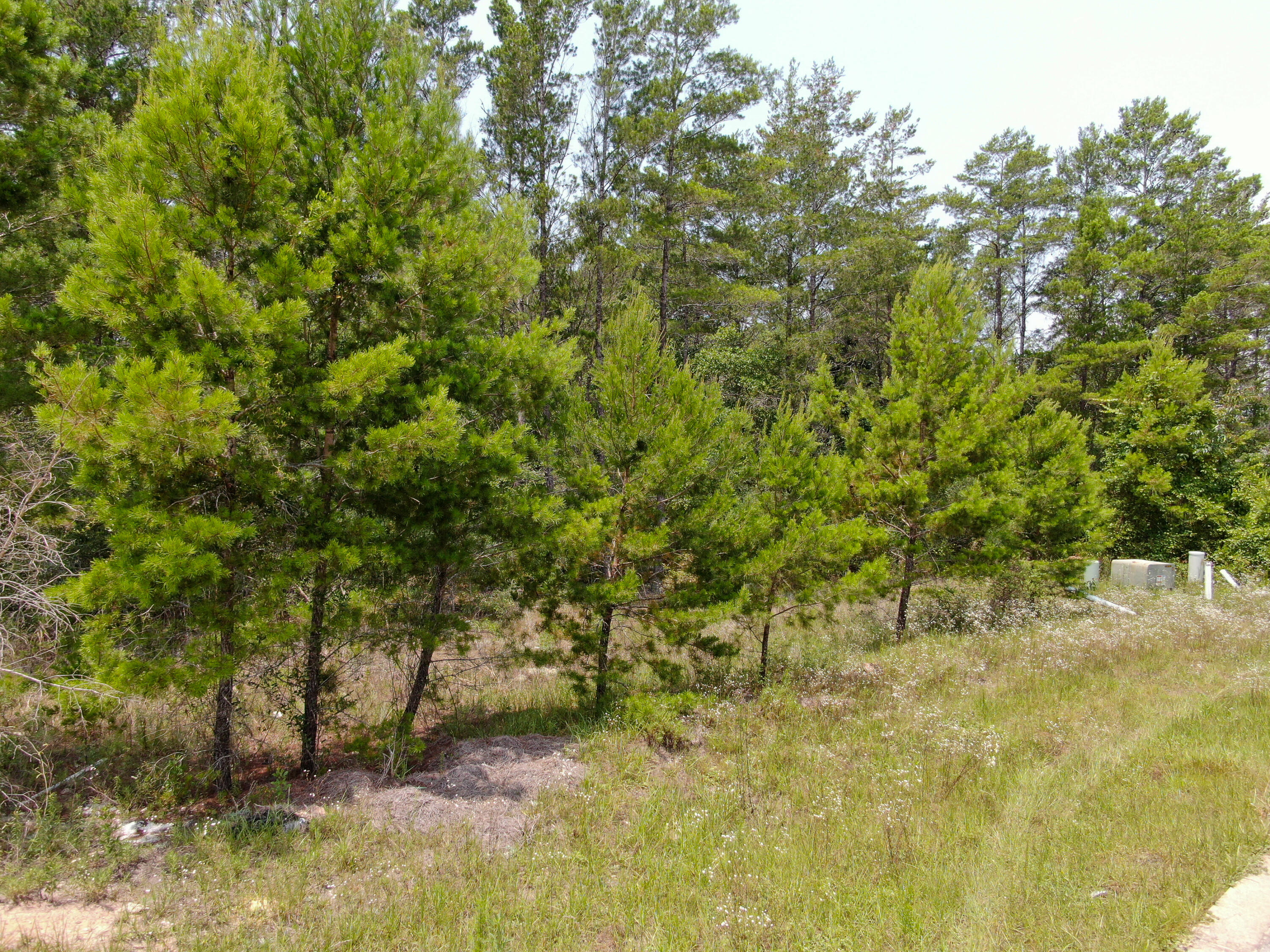 ASHTON PARK PH I - Land