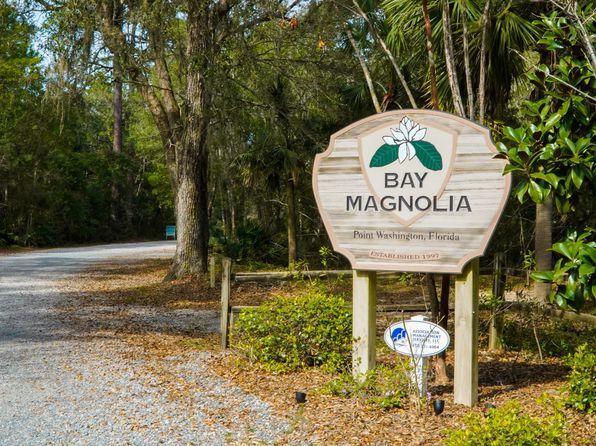 Bay Magnolia - Land
