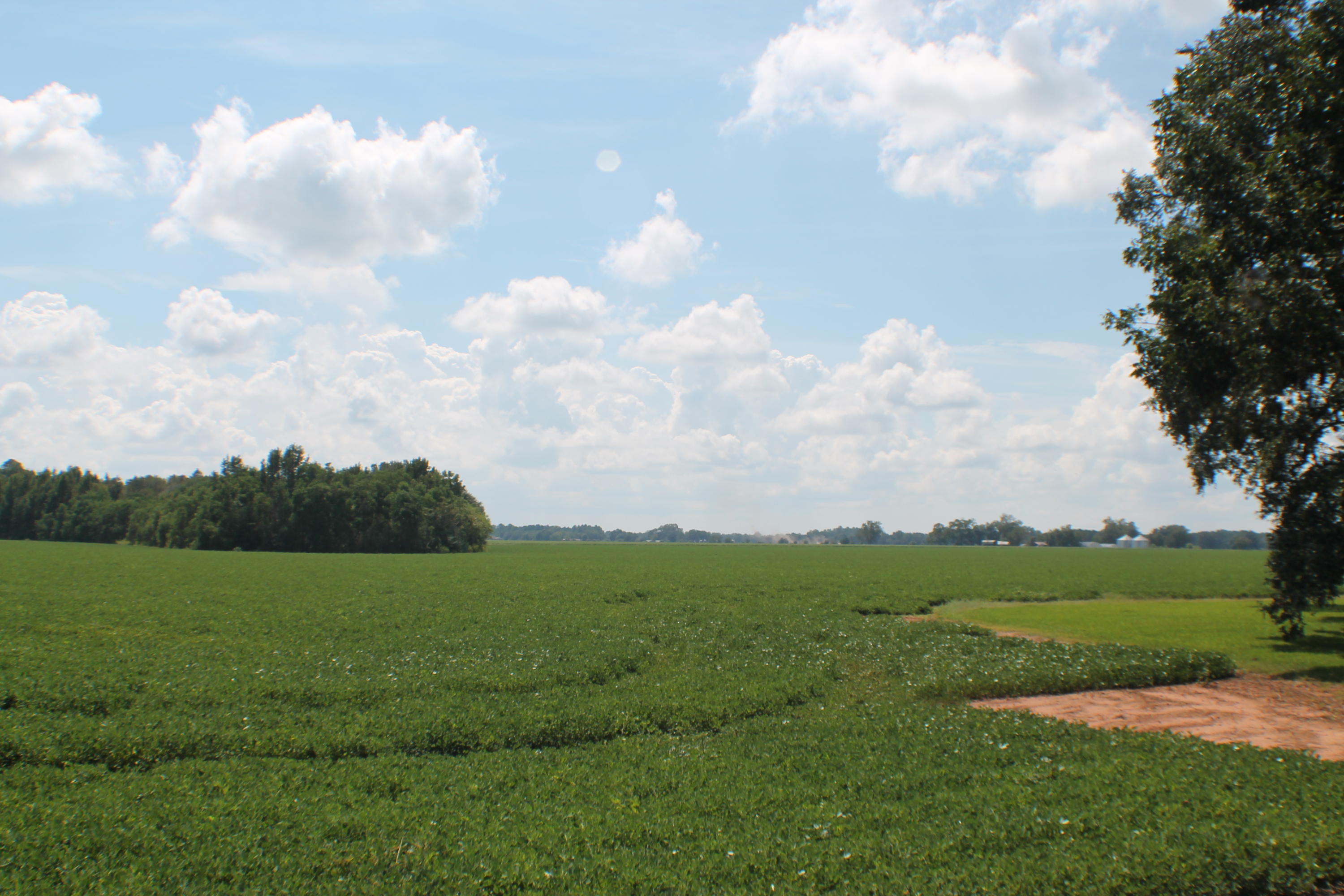 METES & BOUNDS - Farm