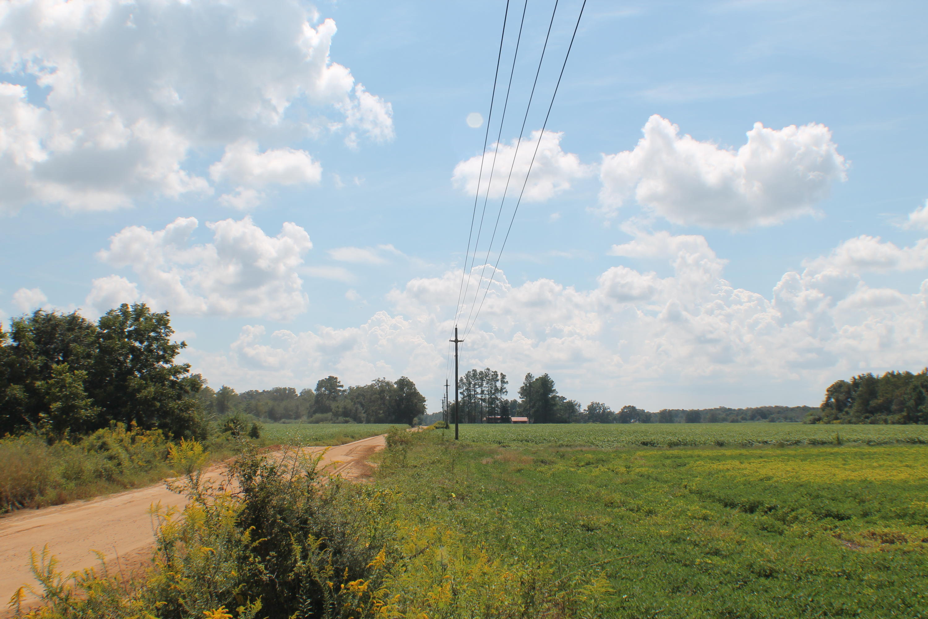 METES & BOUNDS - Farm