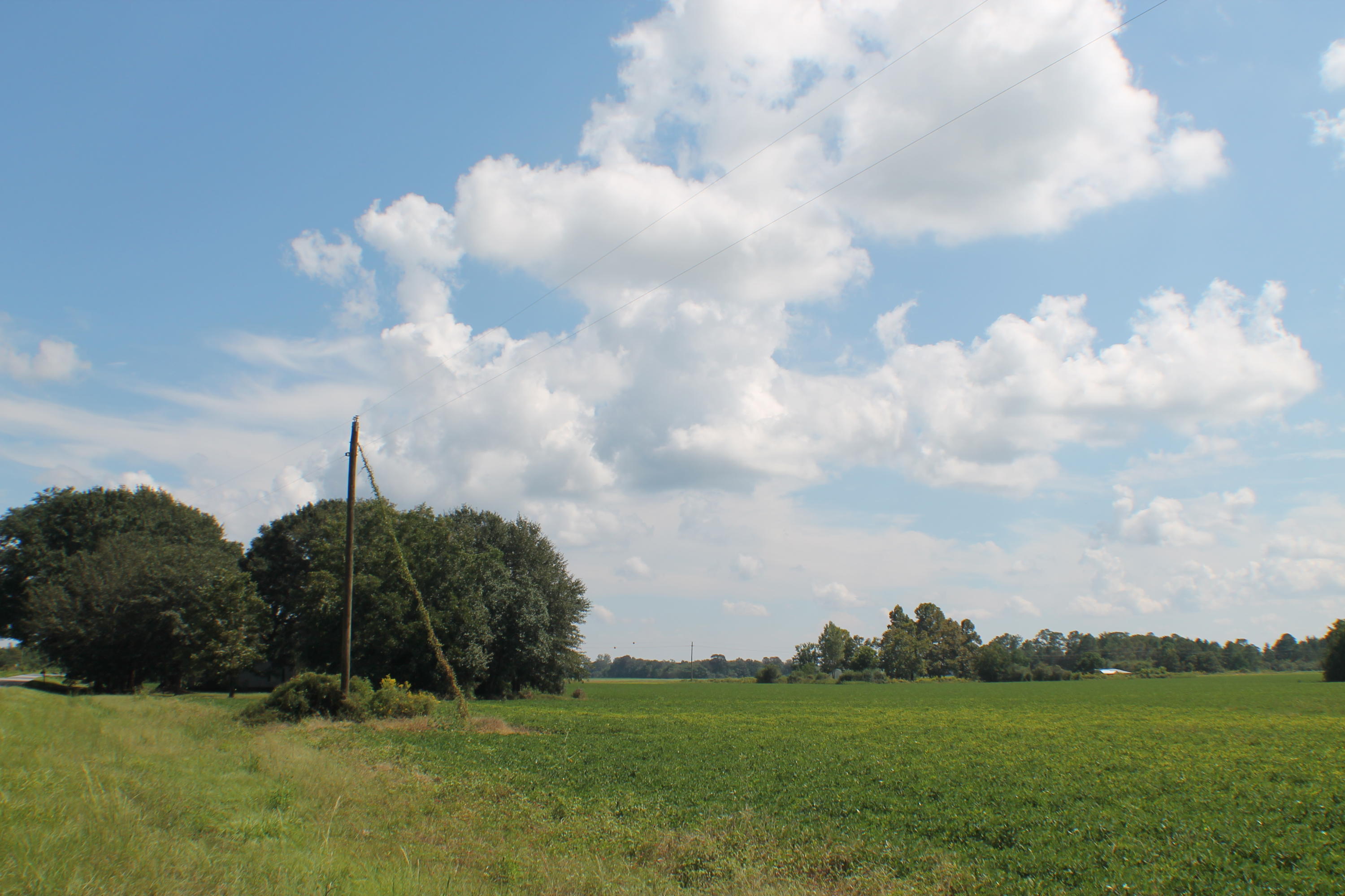 METES & BOUNDS - Farm