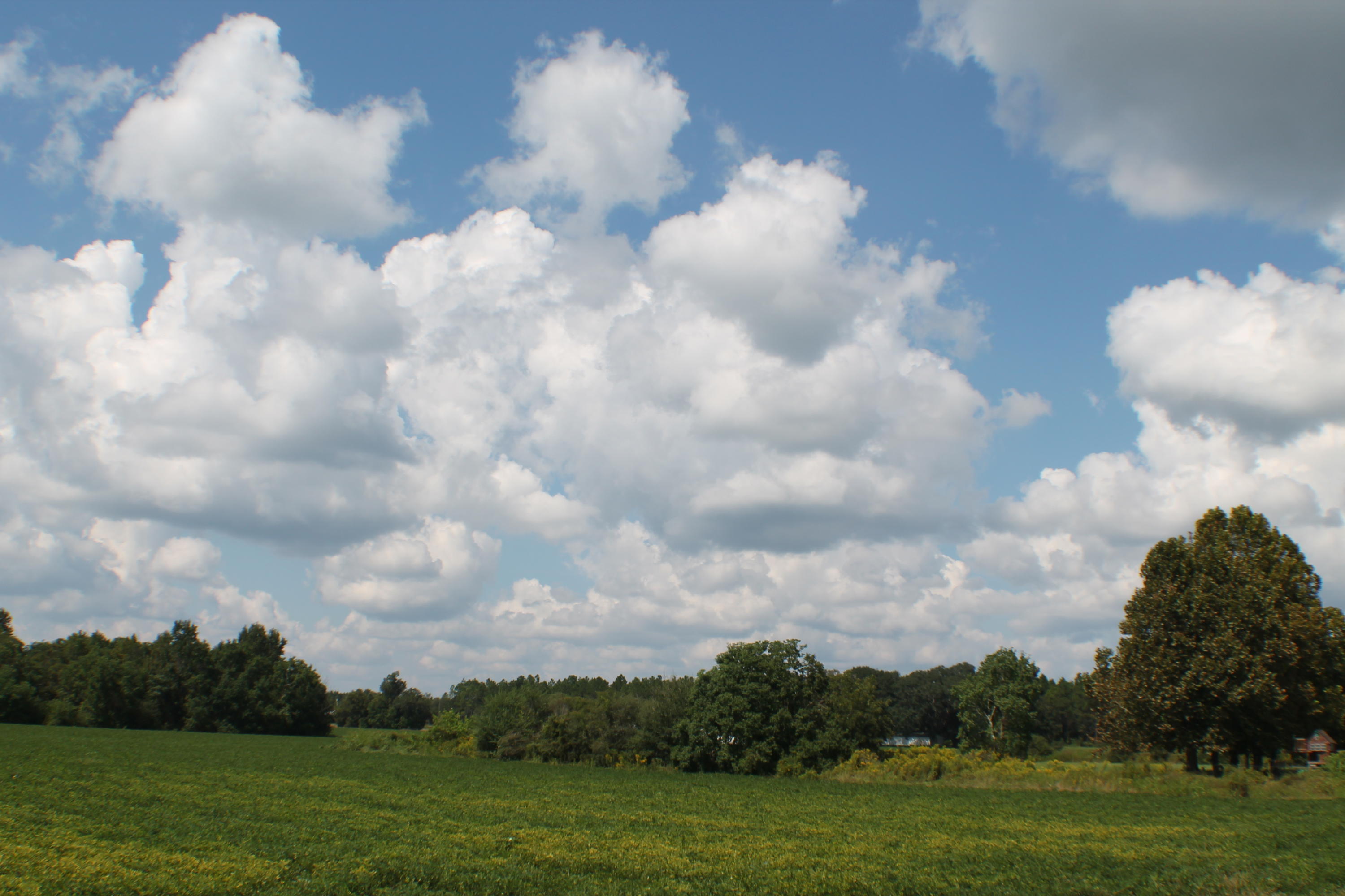 METES & BOUNDS - Farm