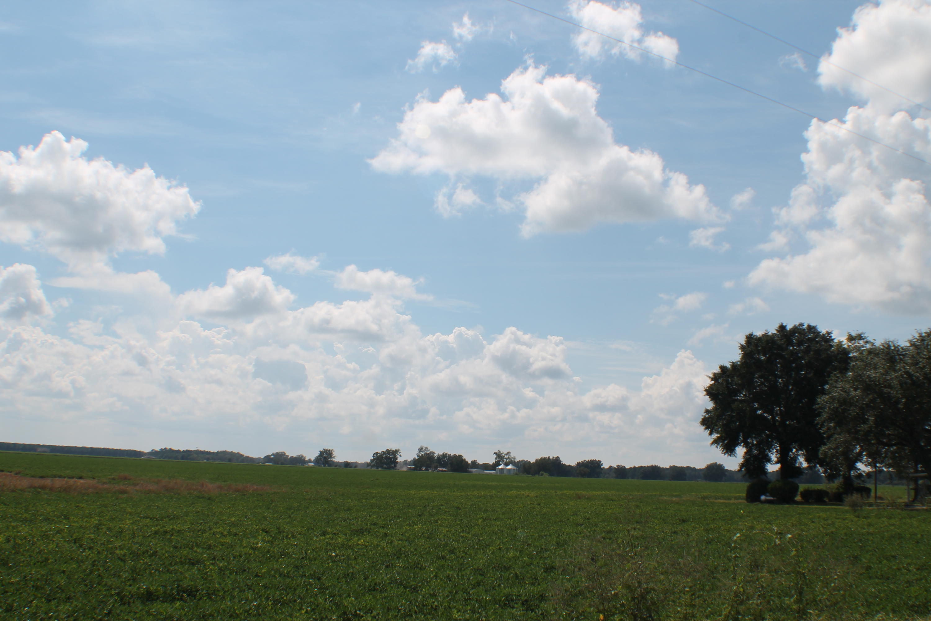 METES & BOUNDS - Farm