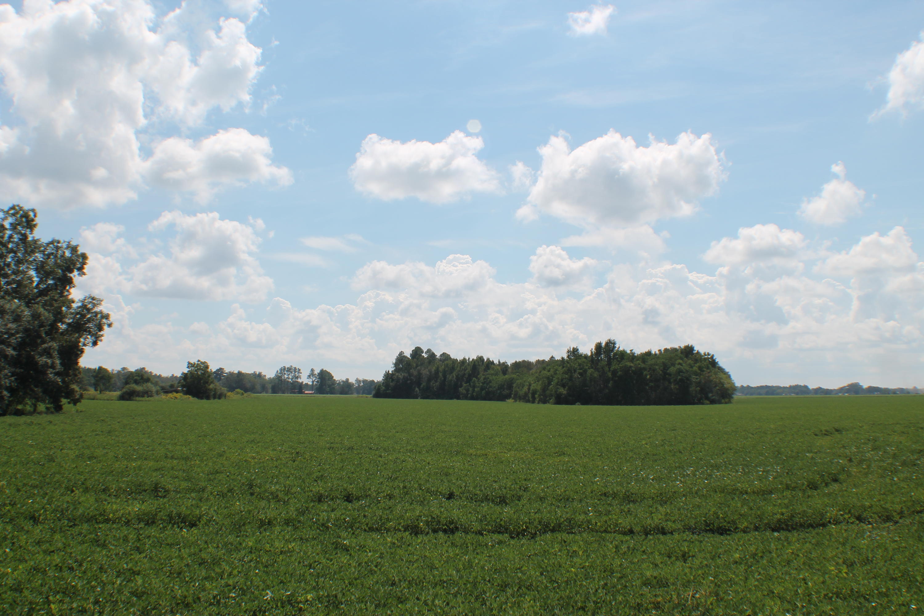 METES & BOUNDS - Farm