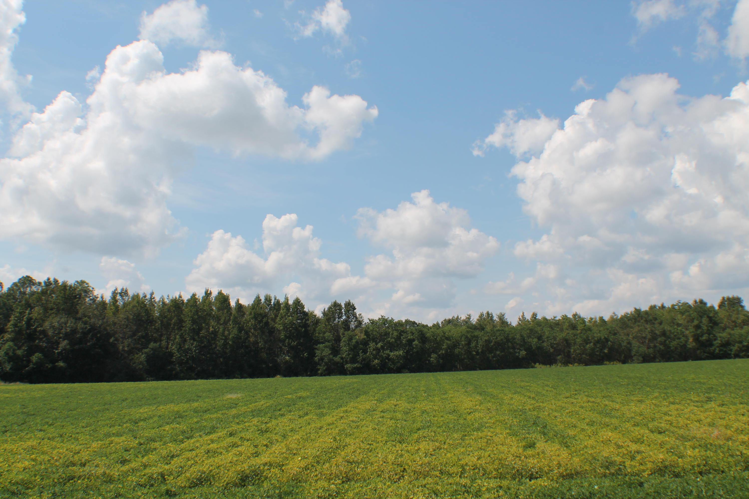 METES & BOUNDS - Farm