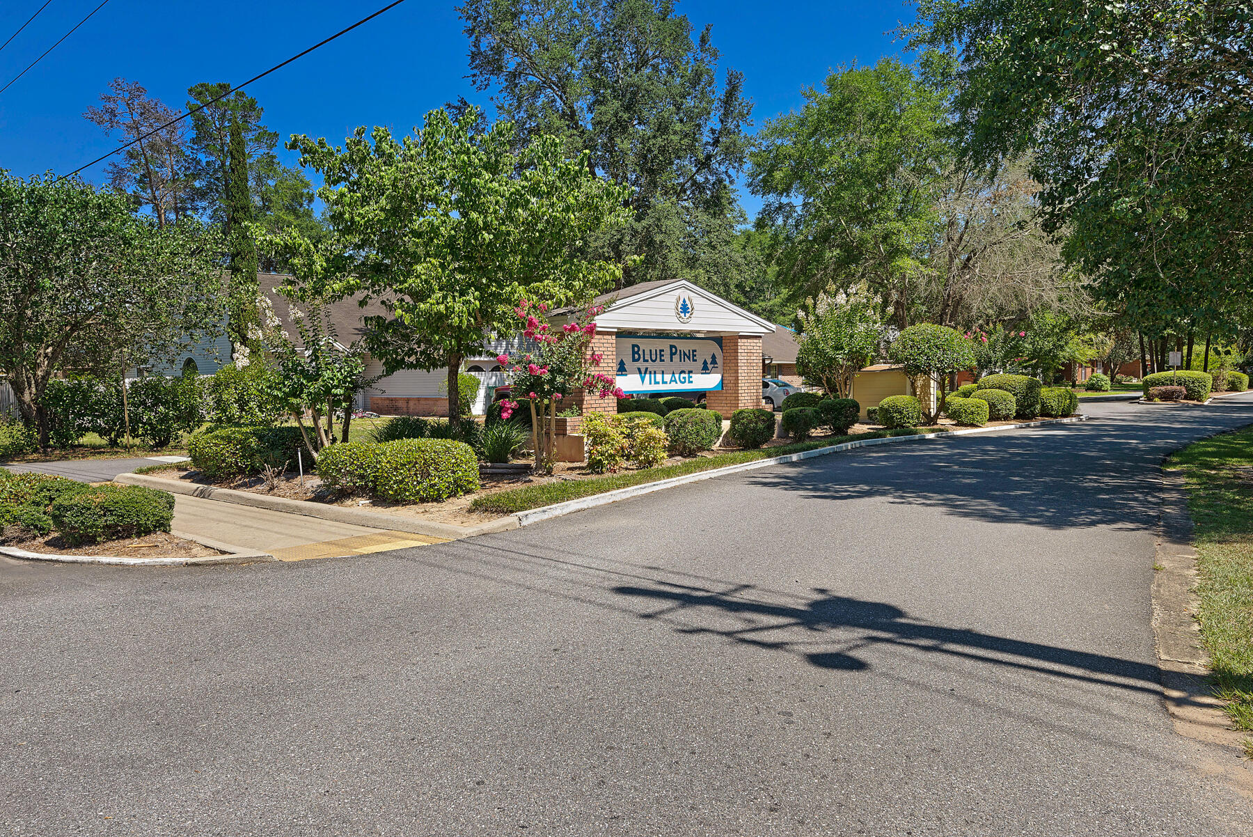 BLUE PINE VILLAGE AMENDED - Residential Lease