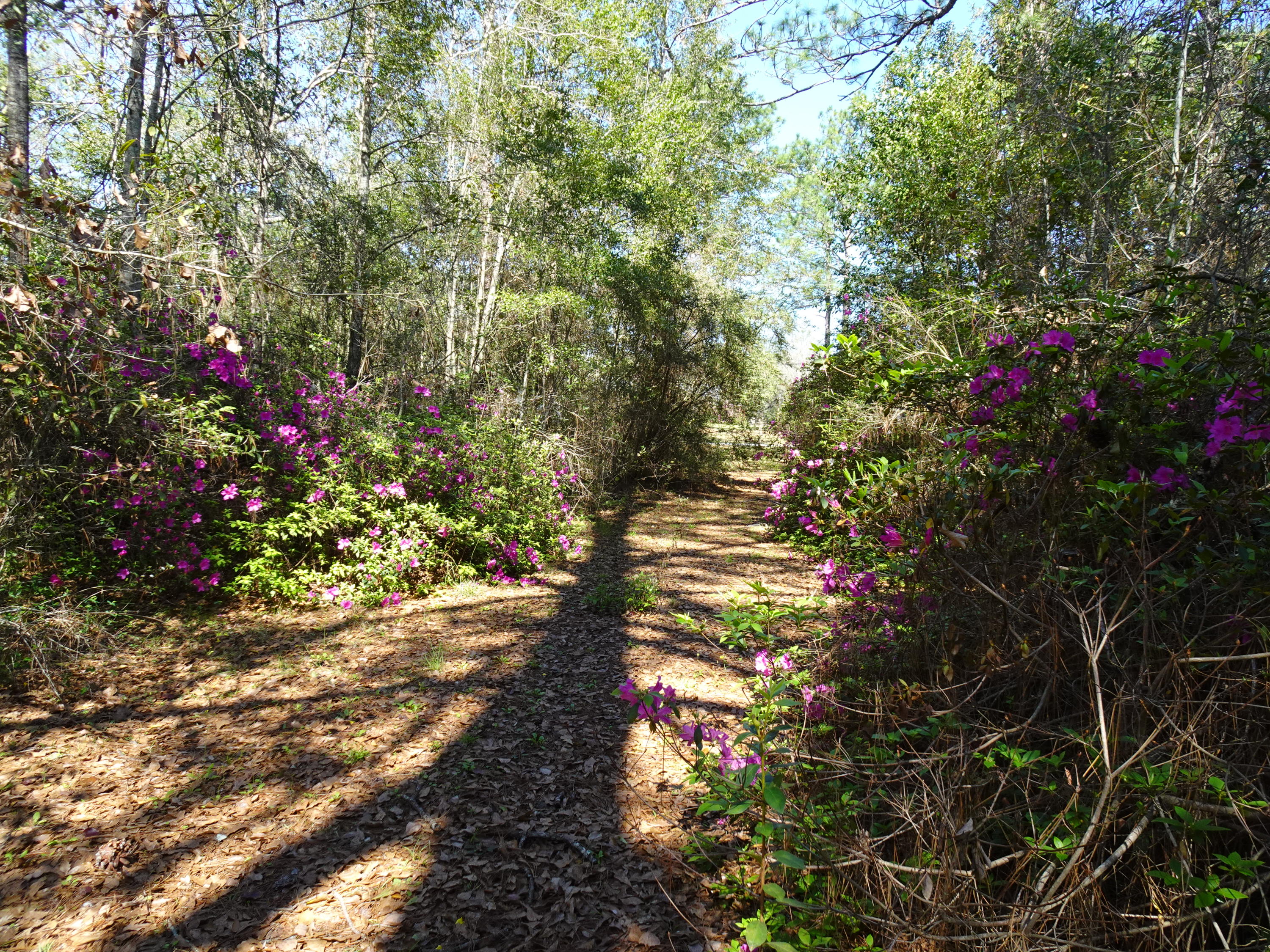 Oaklawn S/D - Residential