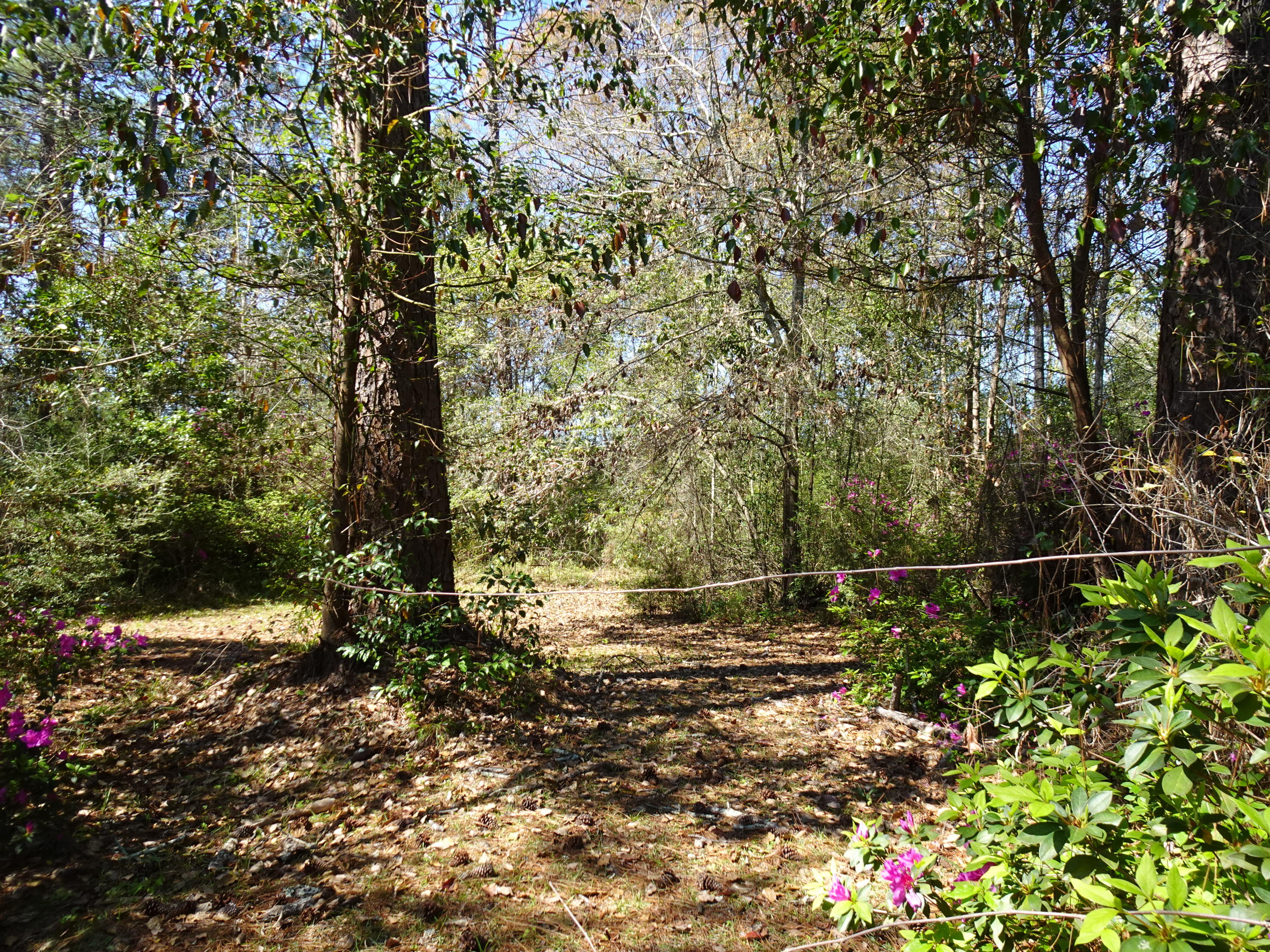 Oaklawn S/D - Residential