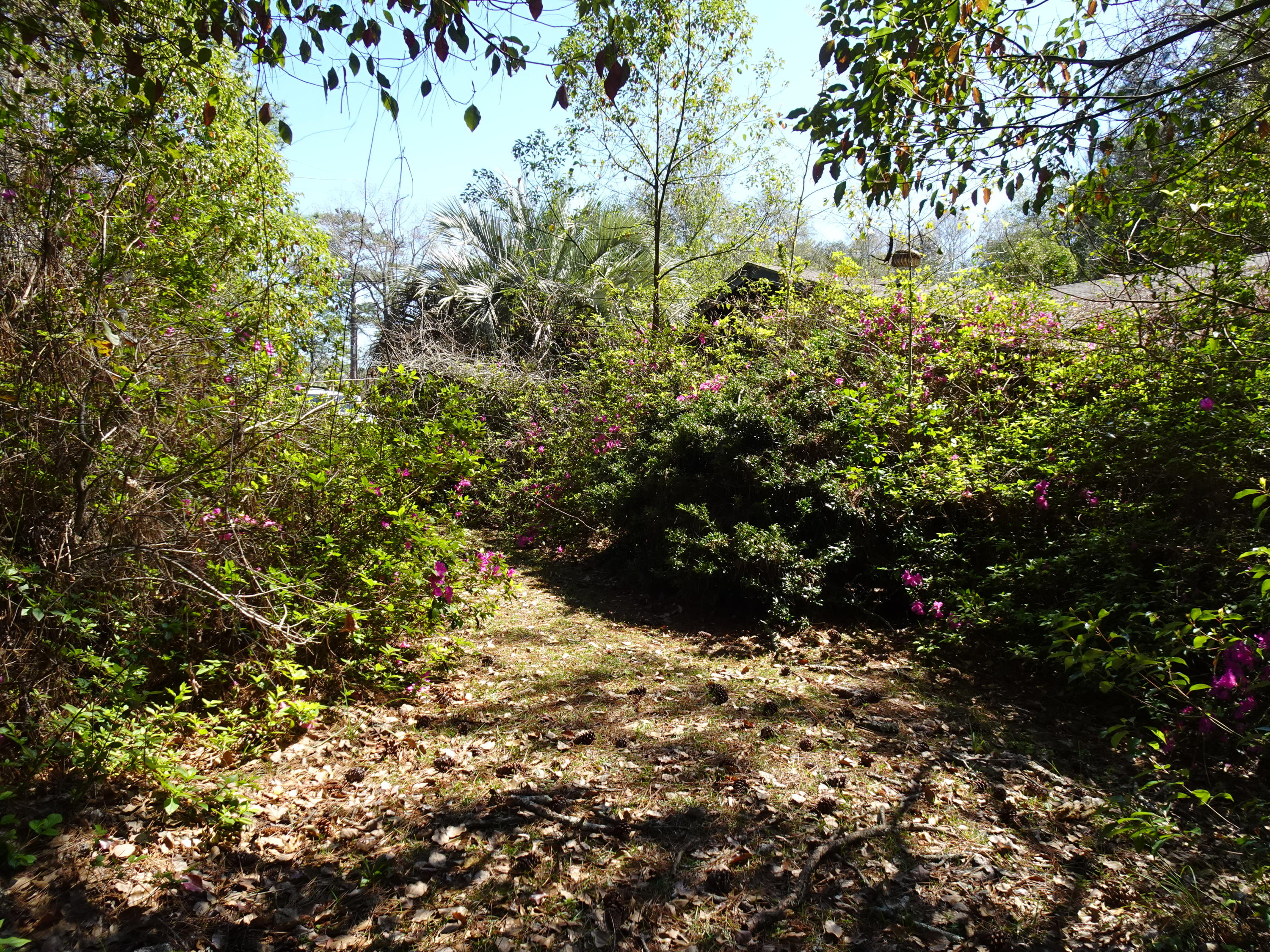 Oaklawn S/D - Residential