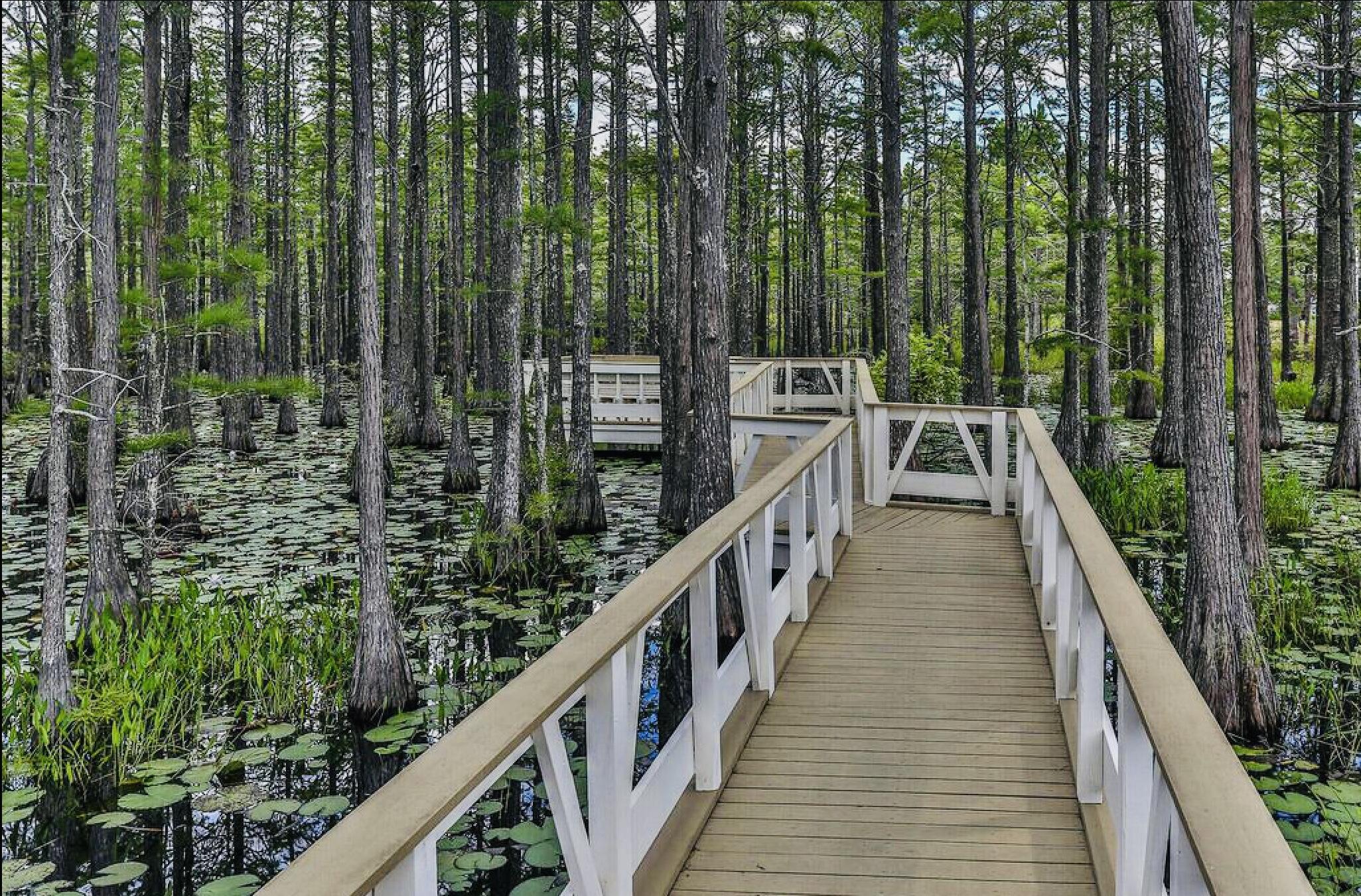 CYPRESS DUNES - Land